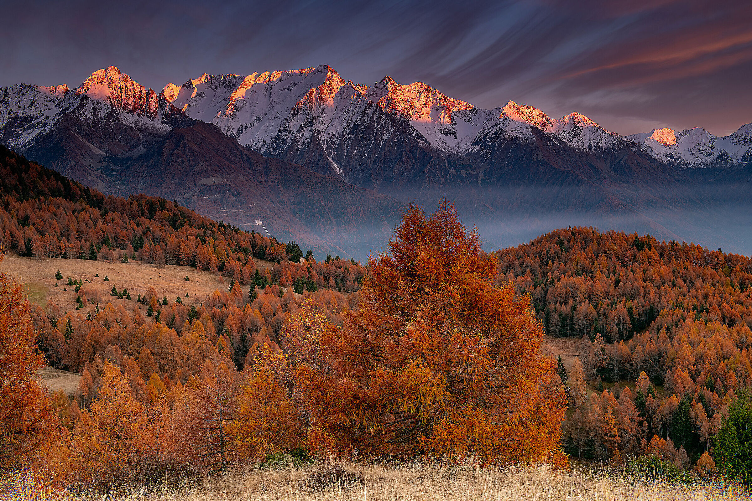 Pennellate d'autunno