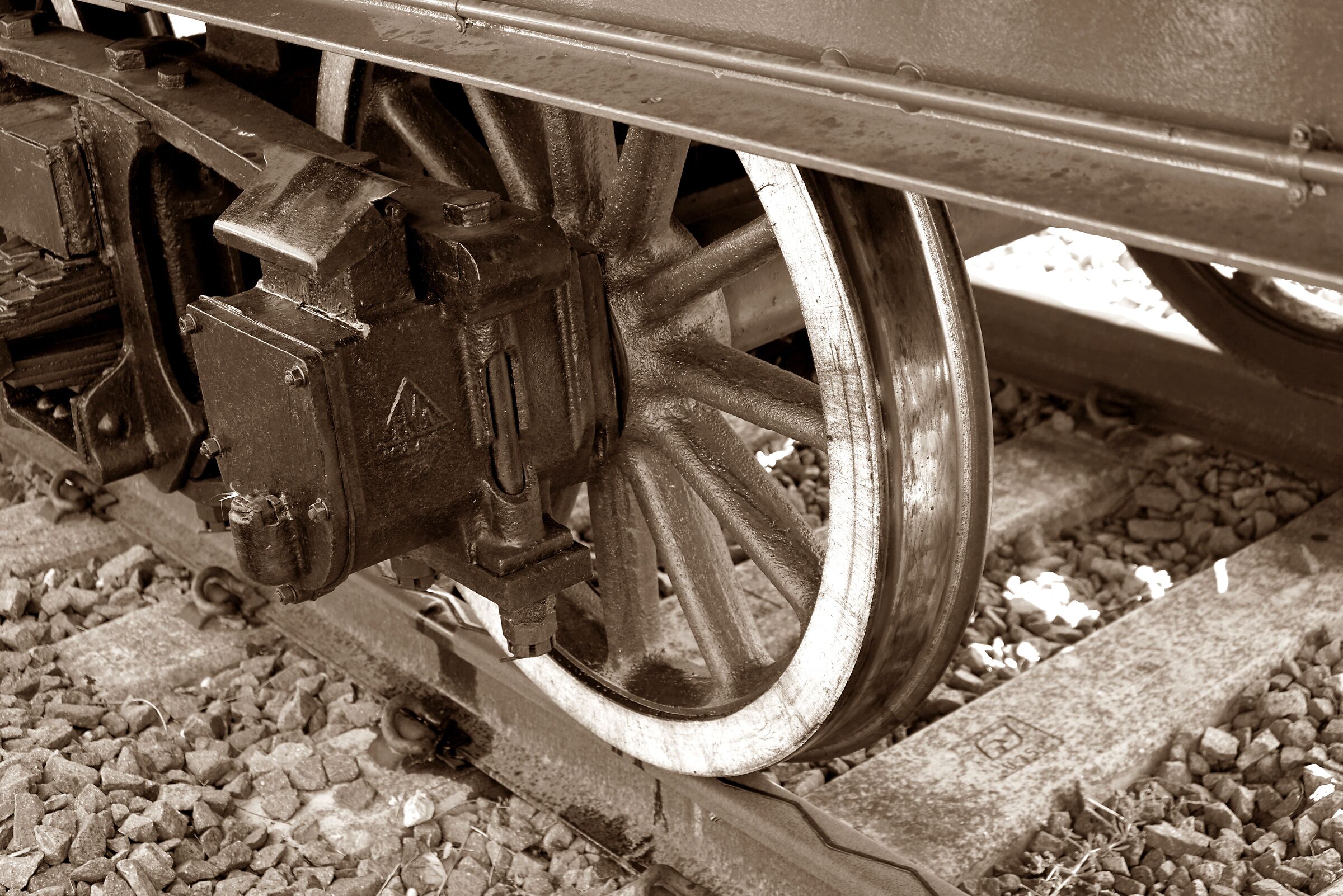 Locomotore - particolare