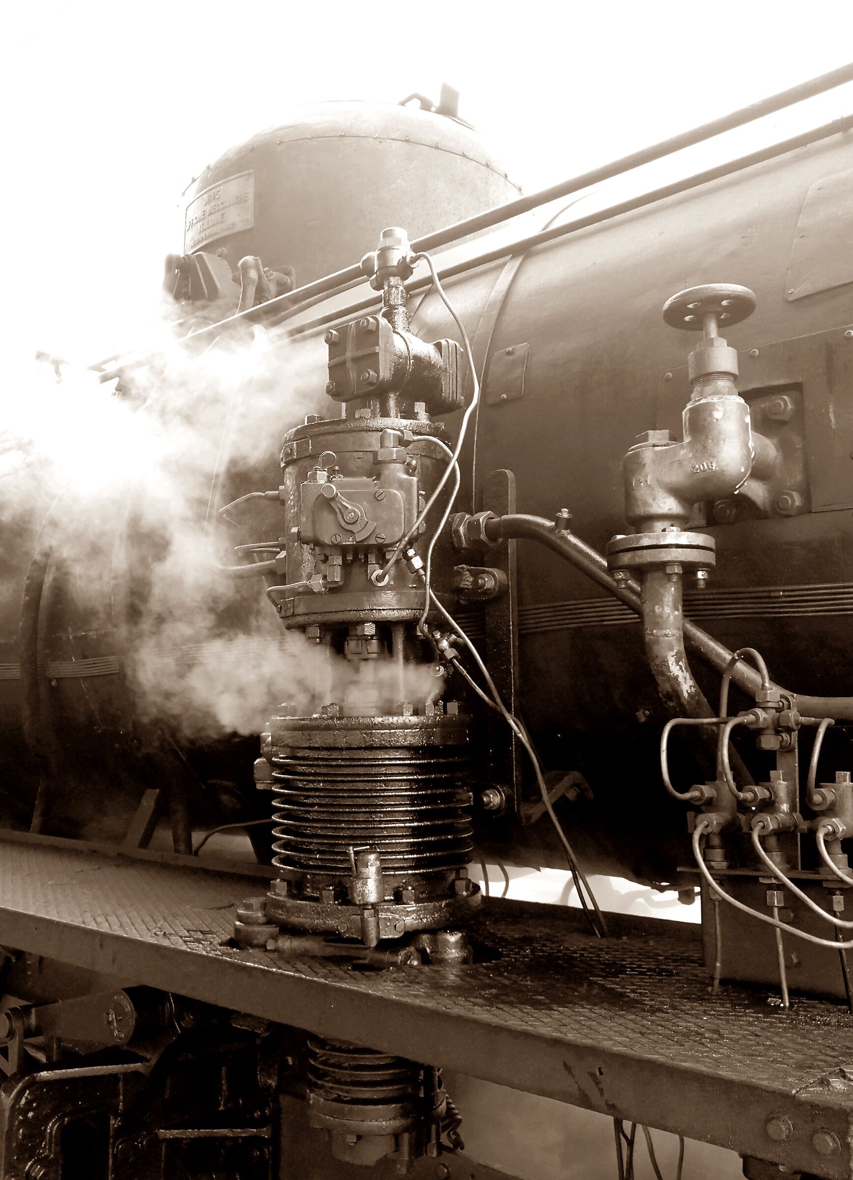 Locomotore - particolare