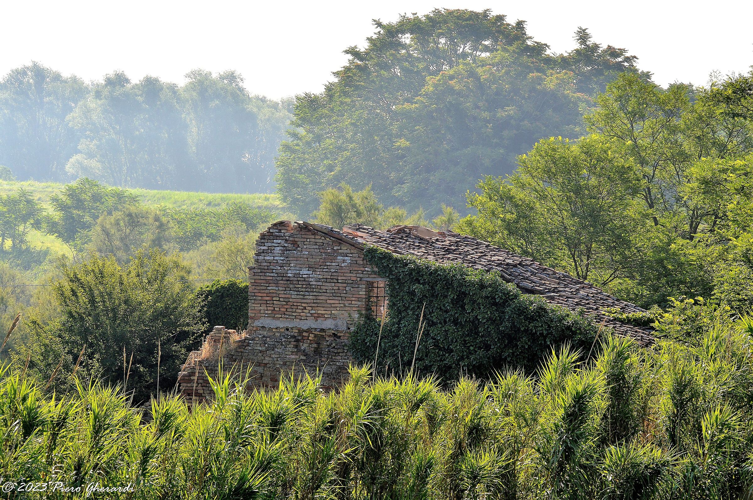 Ruderi