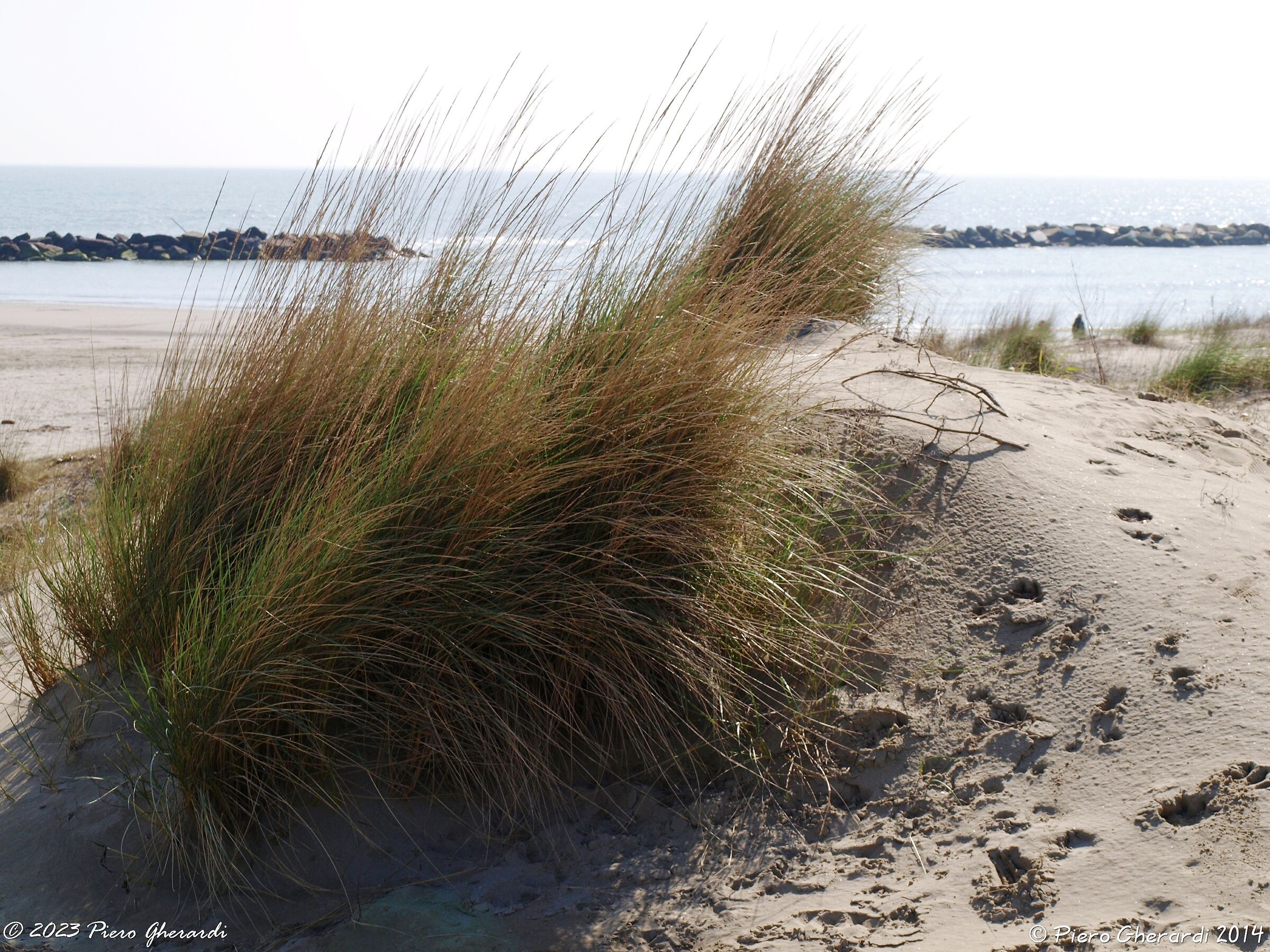 Spiaggia