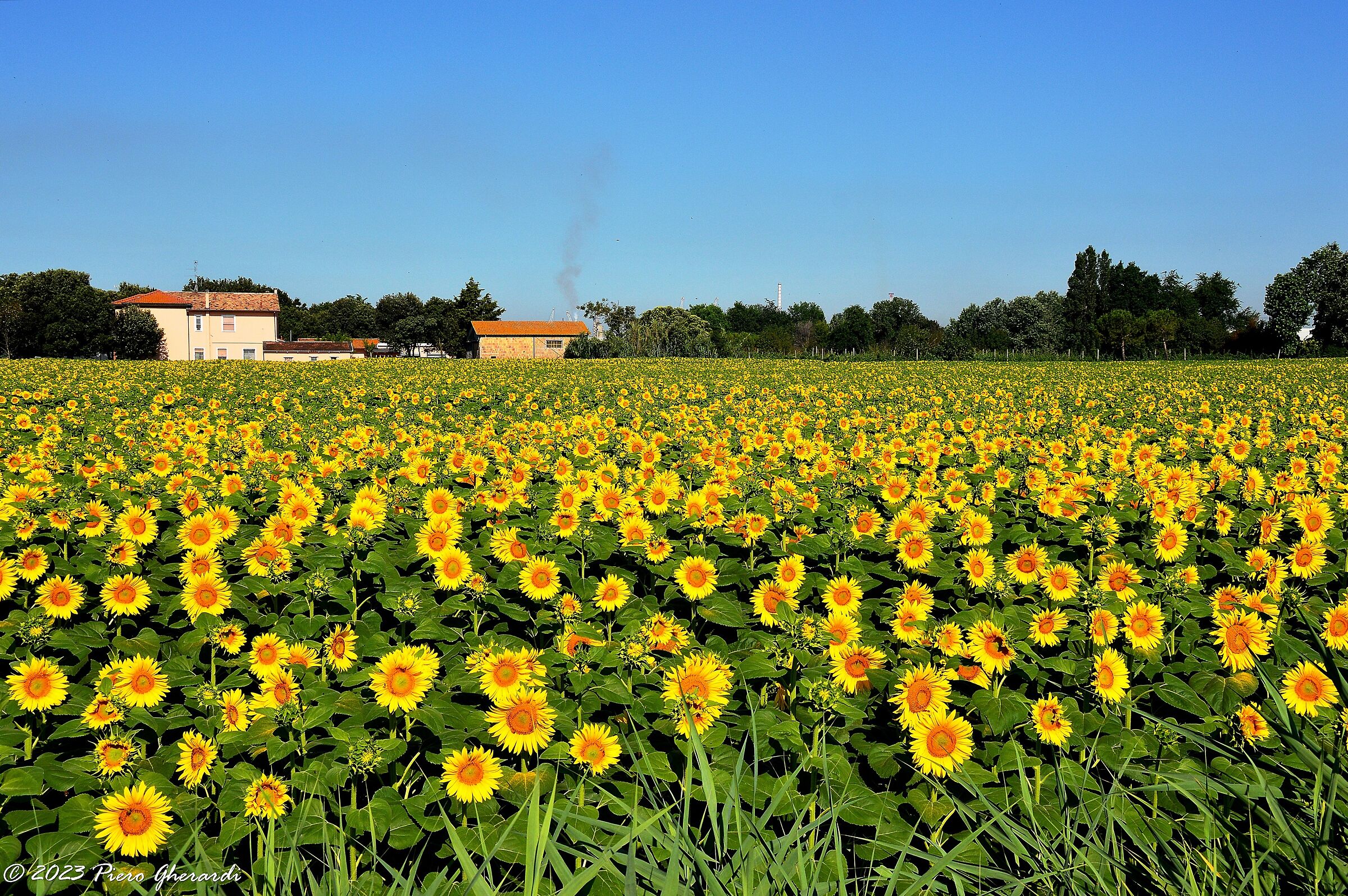 Campagna