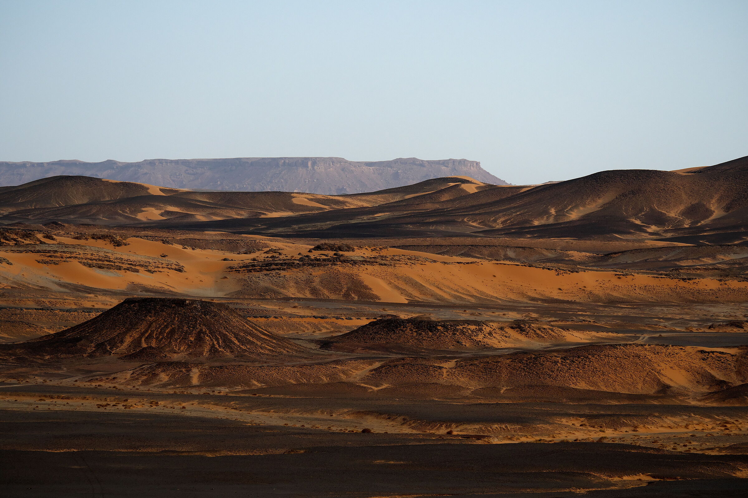 On the edge of the desert