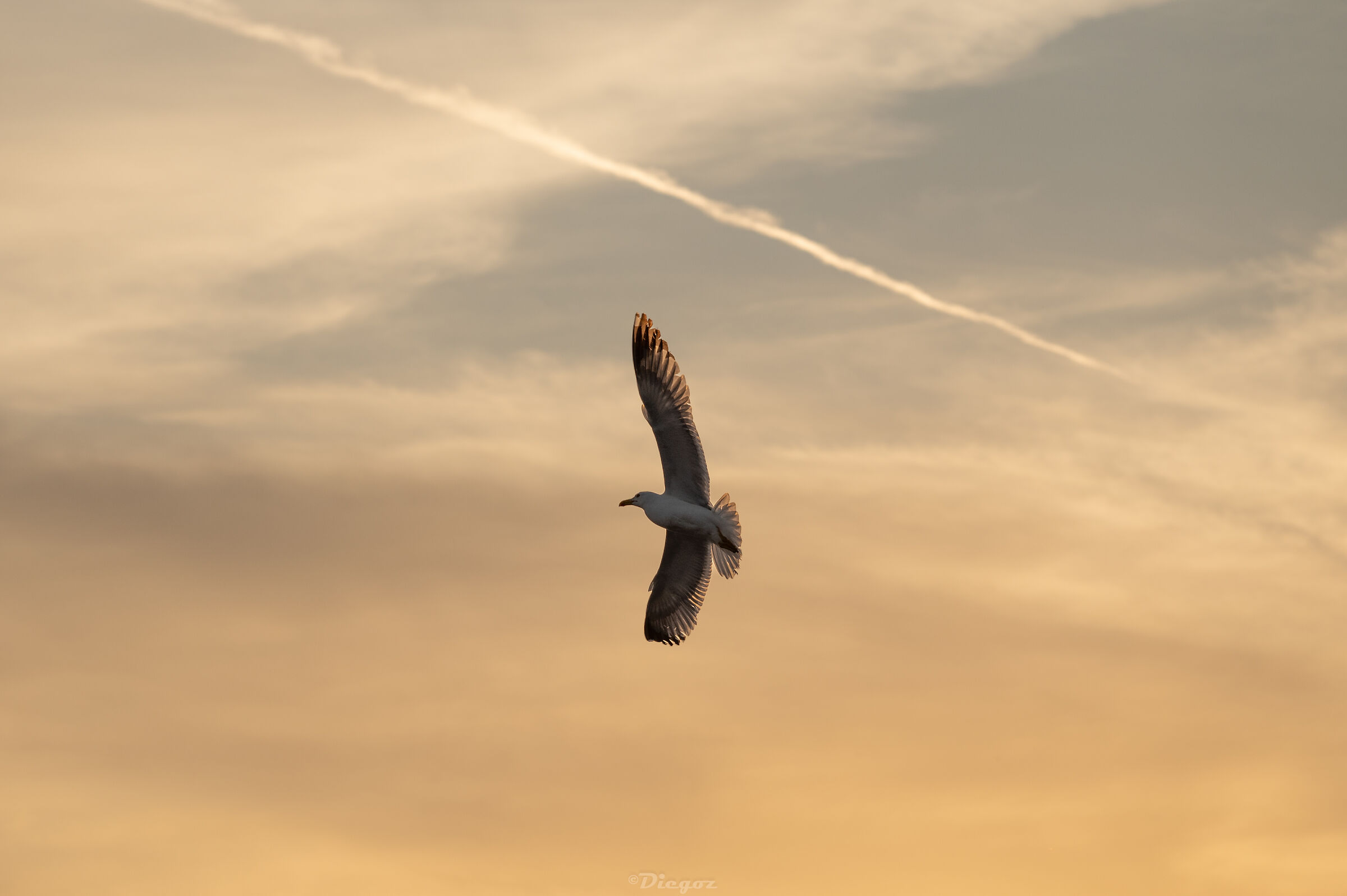 Untitled Photo