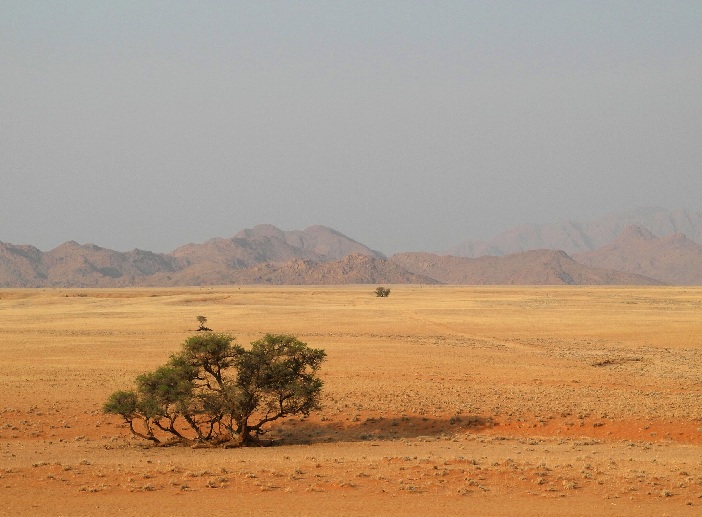 Scorcio namibiano