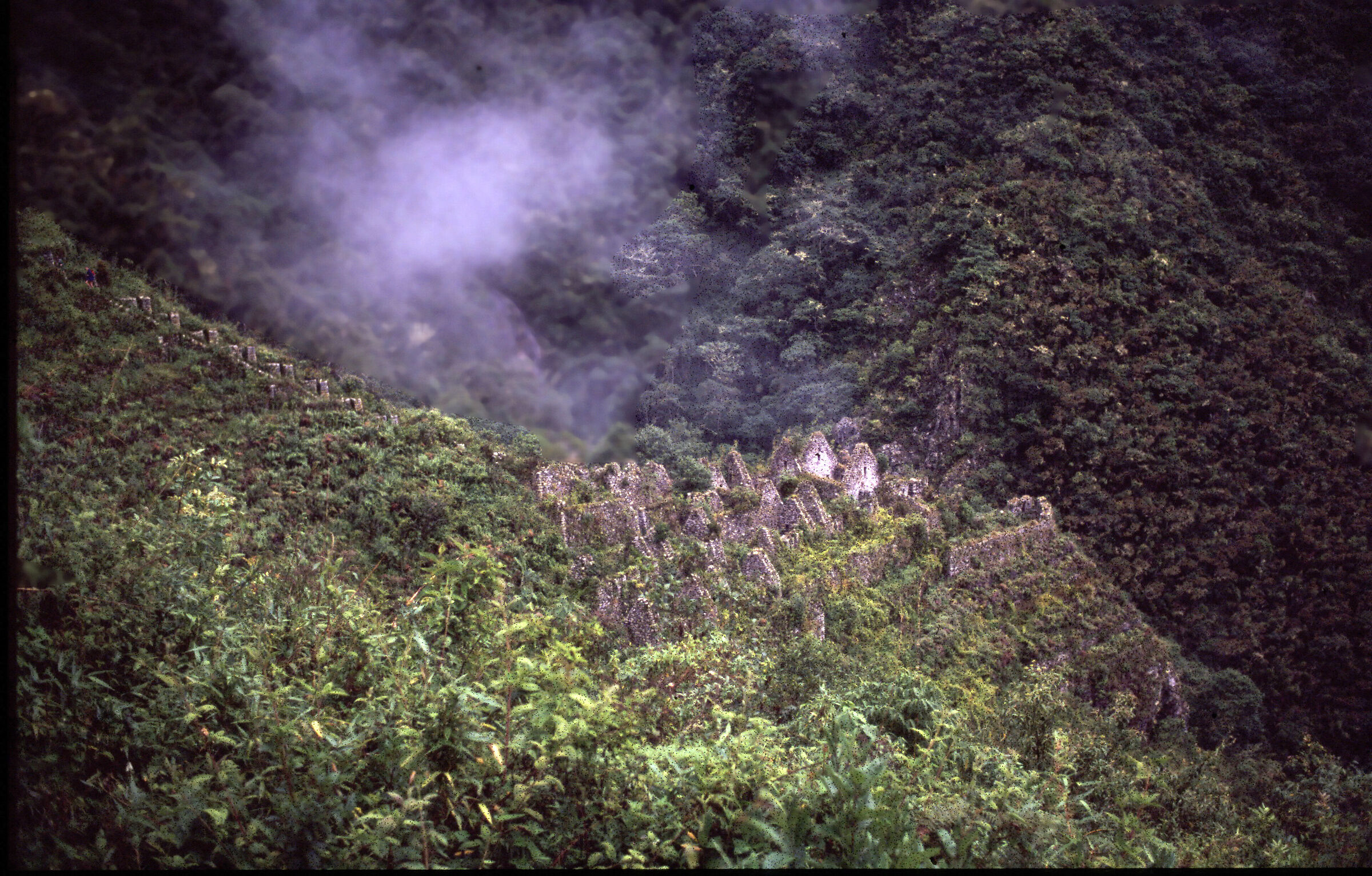 Winay Wayna Inca Trail