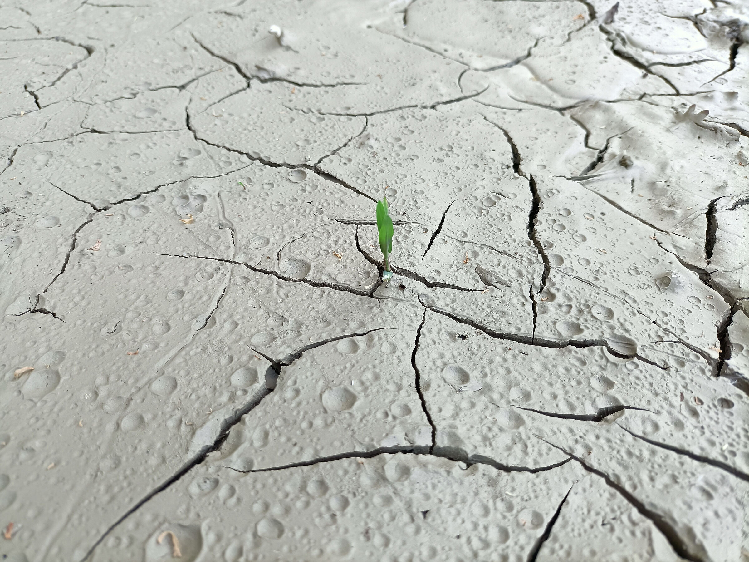 Sommersi ma in attesa di riemergere