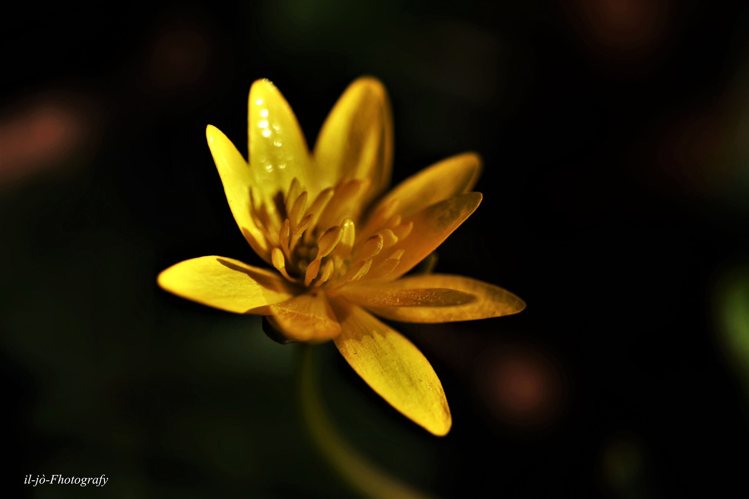 Untitled Photo