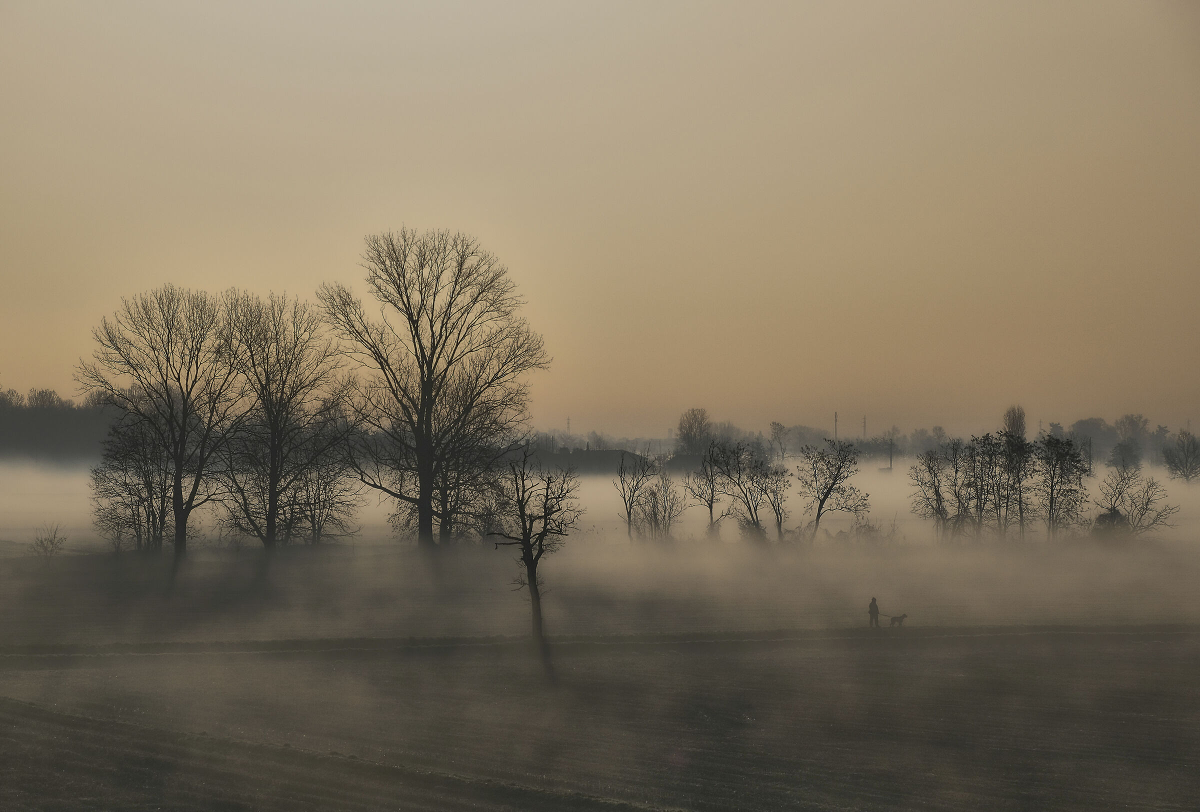 Emerged from the waters