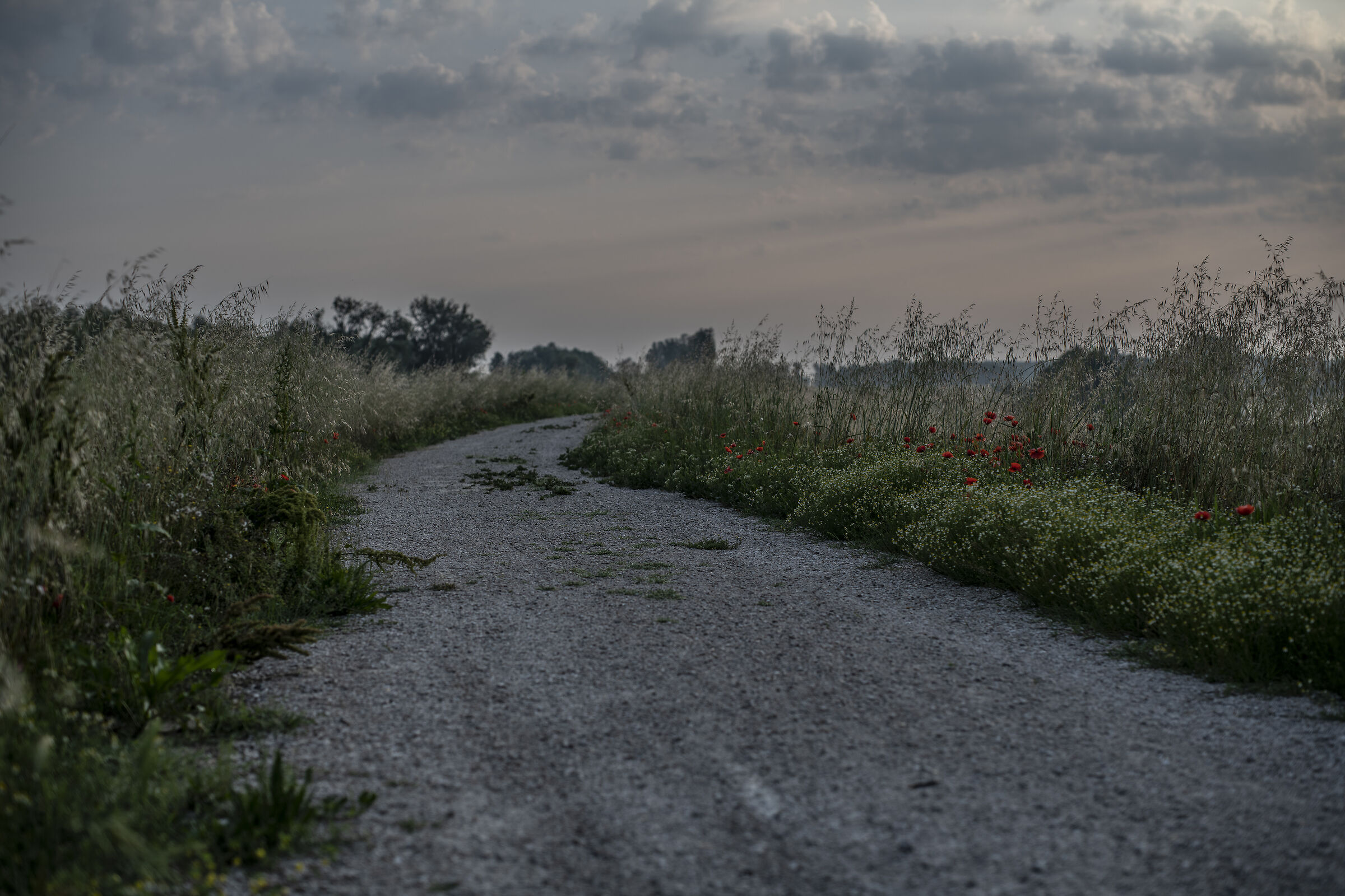 In compagnia di se stessi