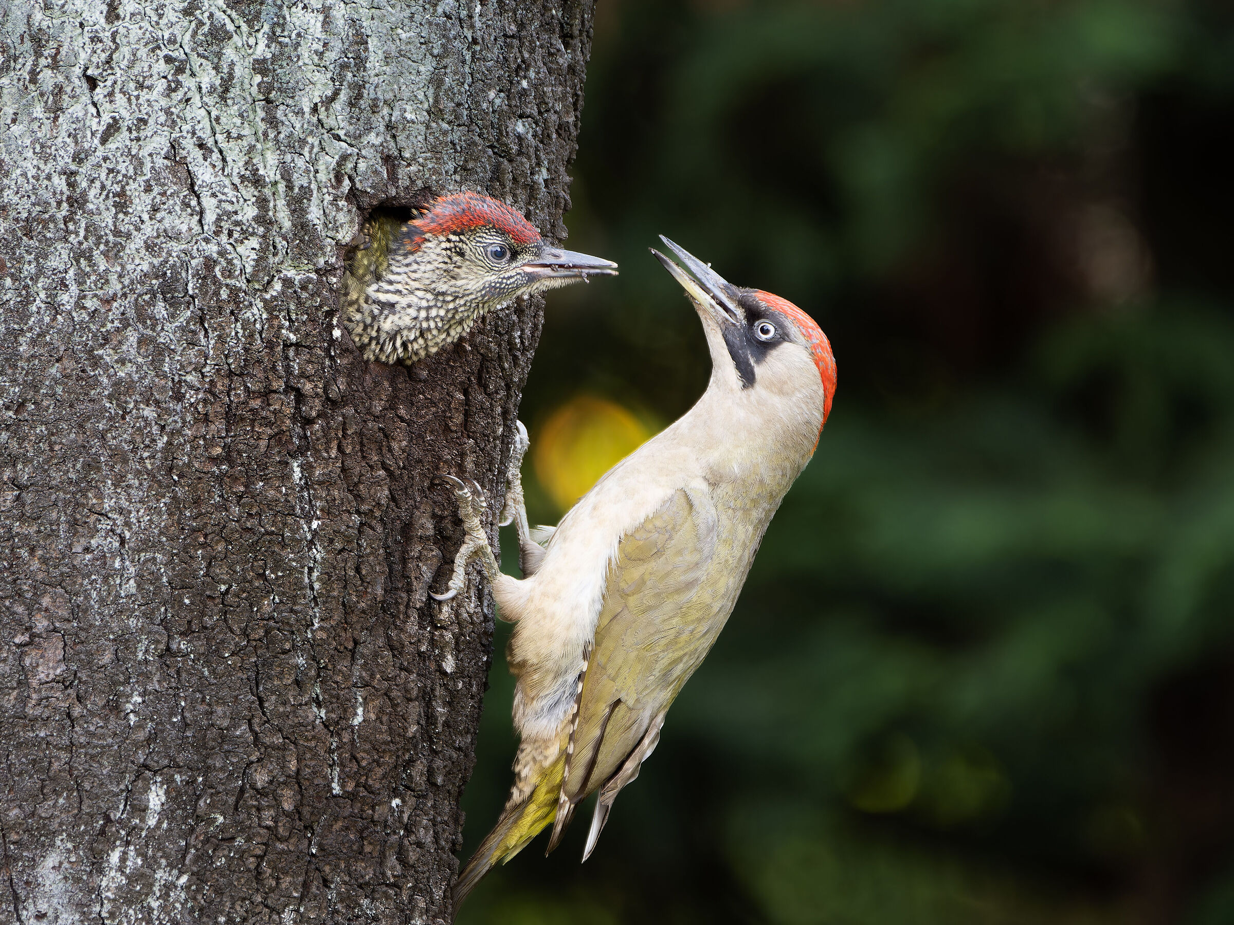 Appena finita la pappa...