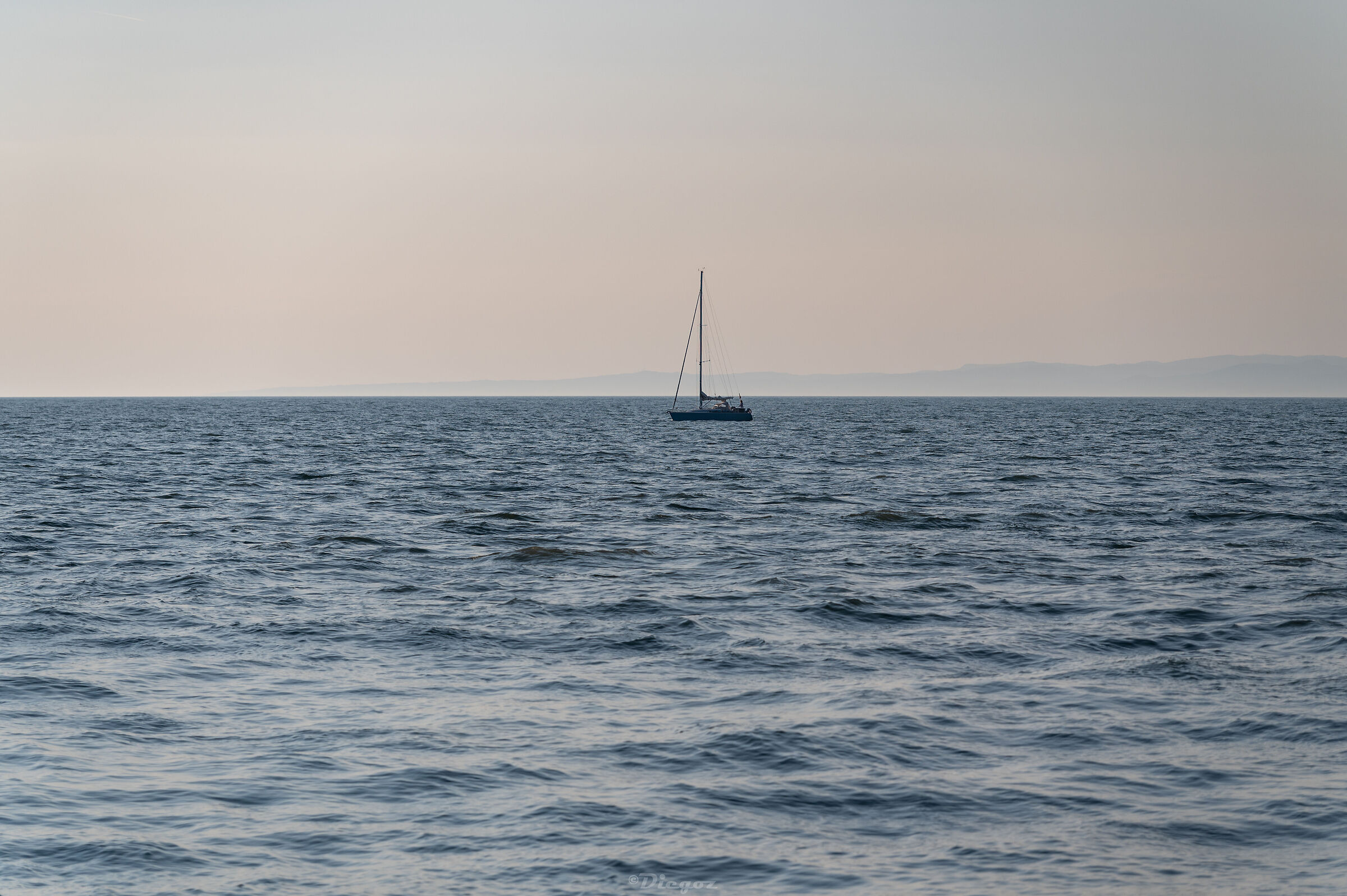Untitled Photo