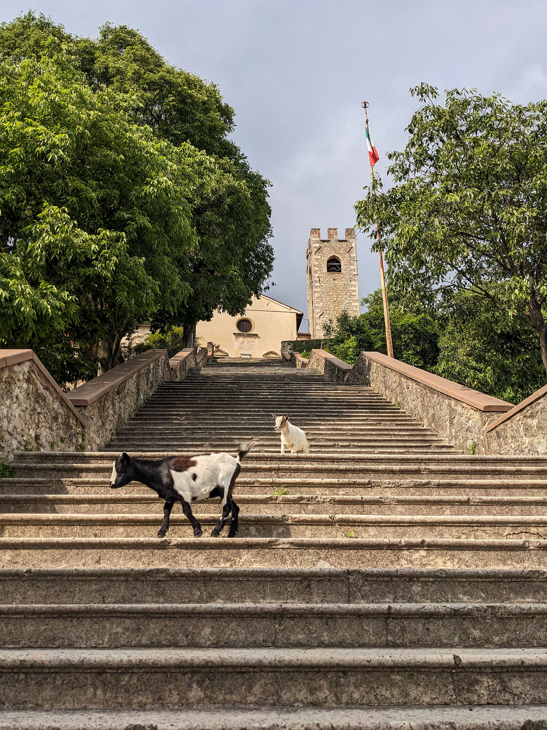 Atletica in ogni dove.