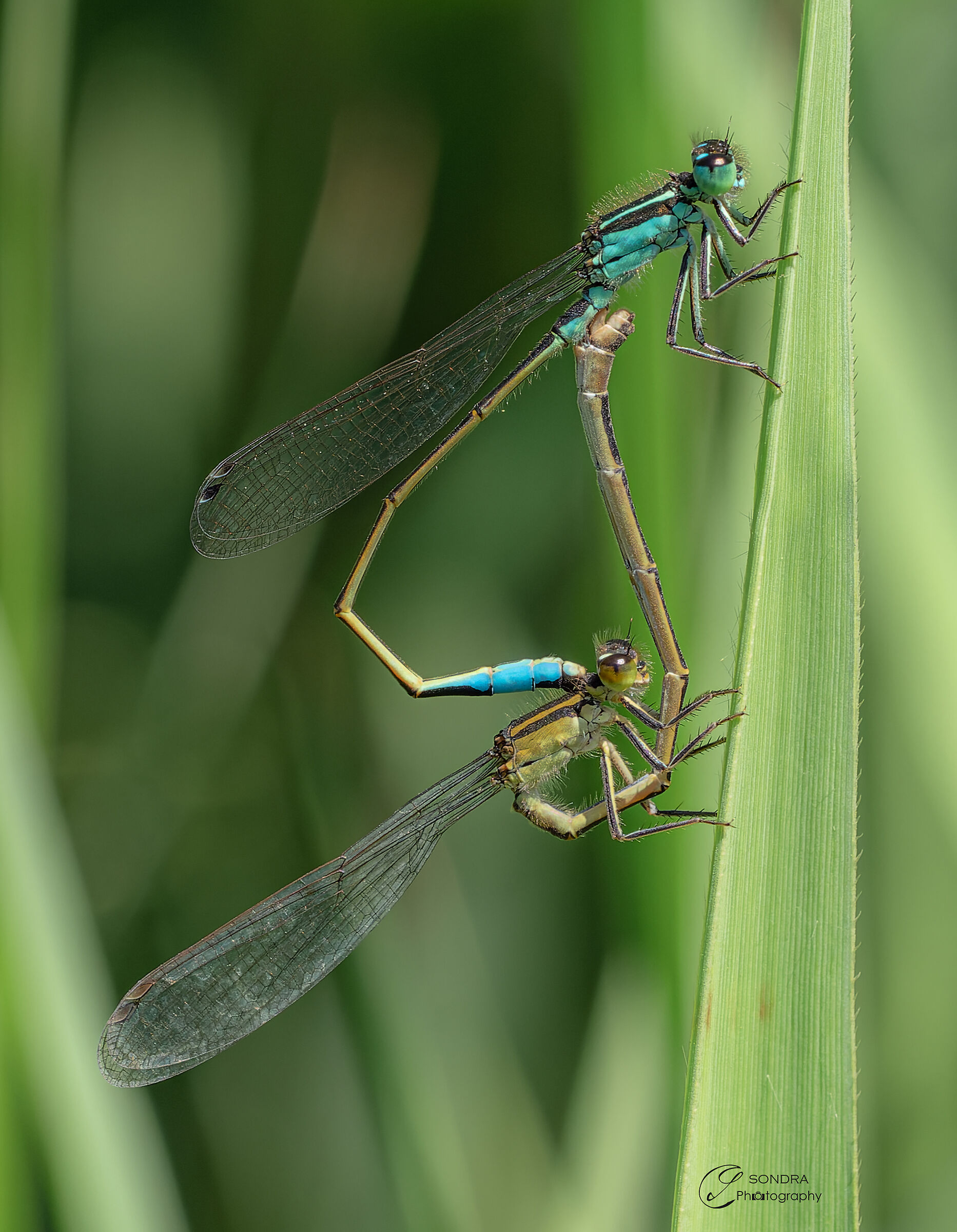 Ops..... do not disturb.......