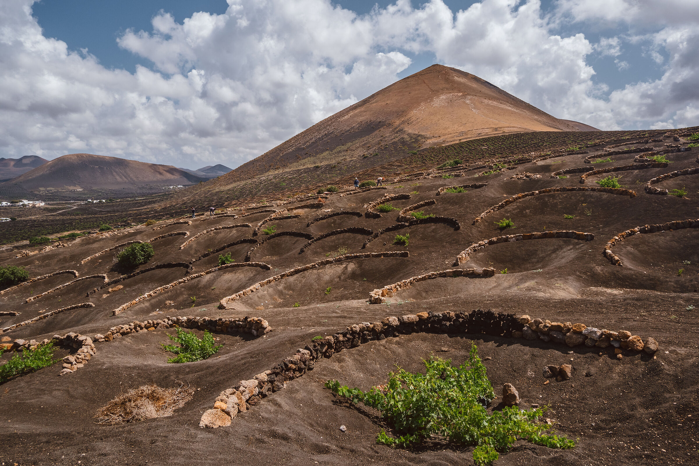 Volcanes y vinos