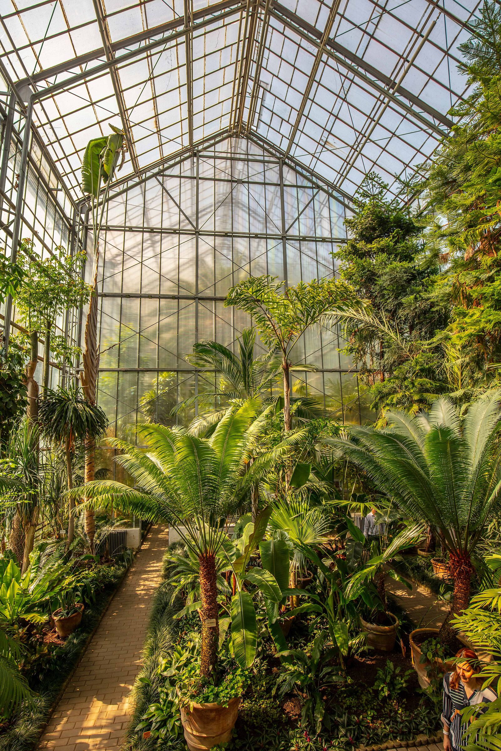Botanic garden Cluj Napoca