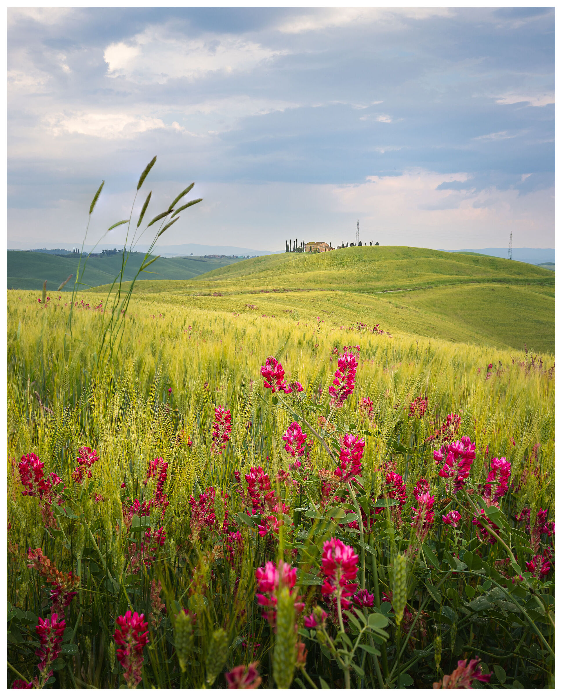 Crete Senesi