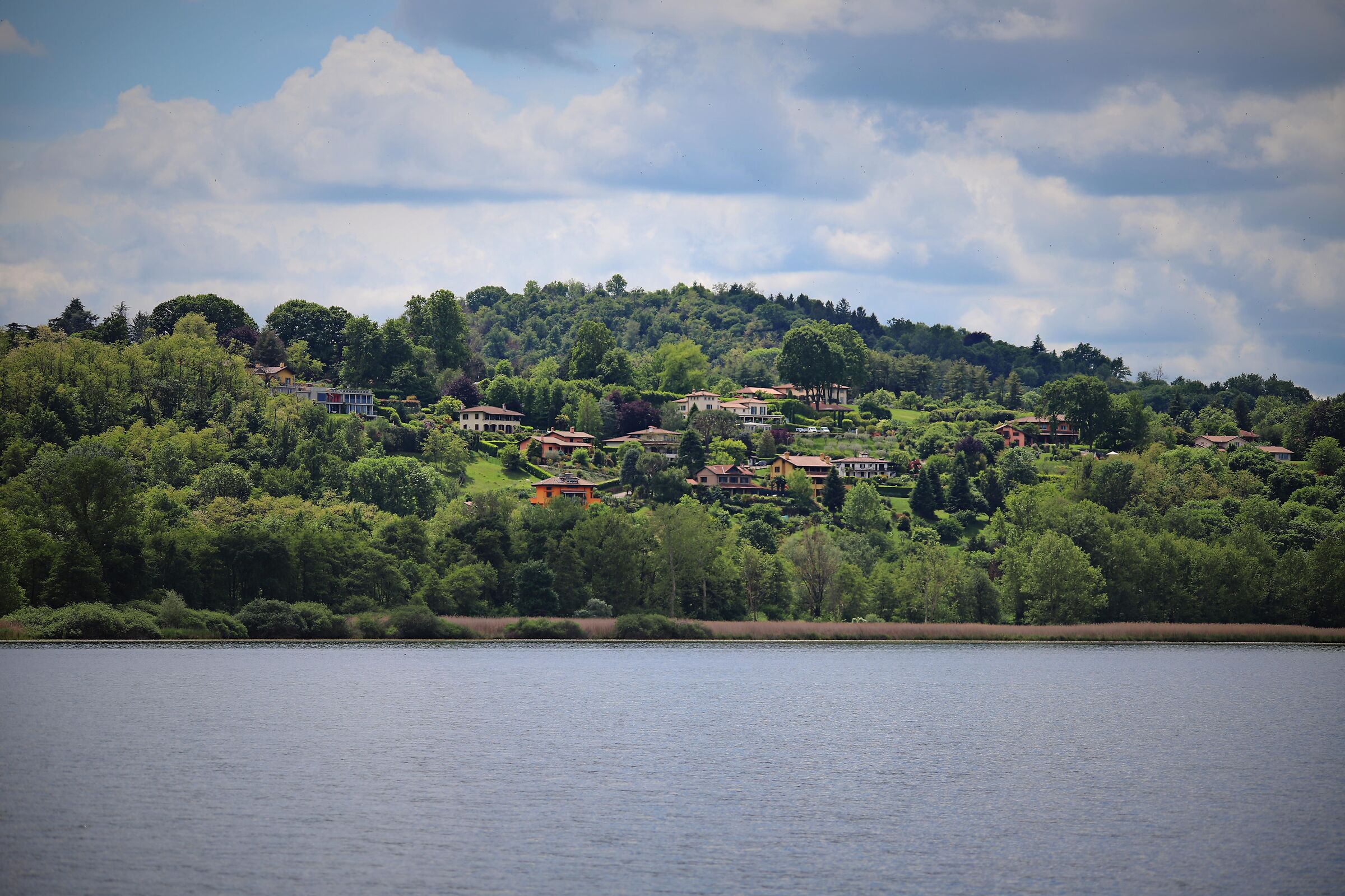 lago di varese,scorcio dalla schiranna