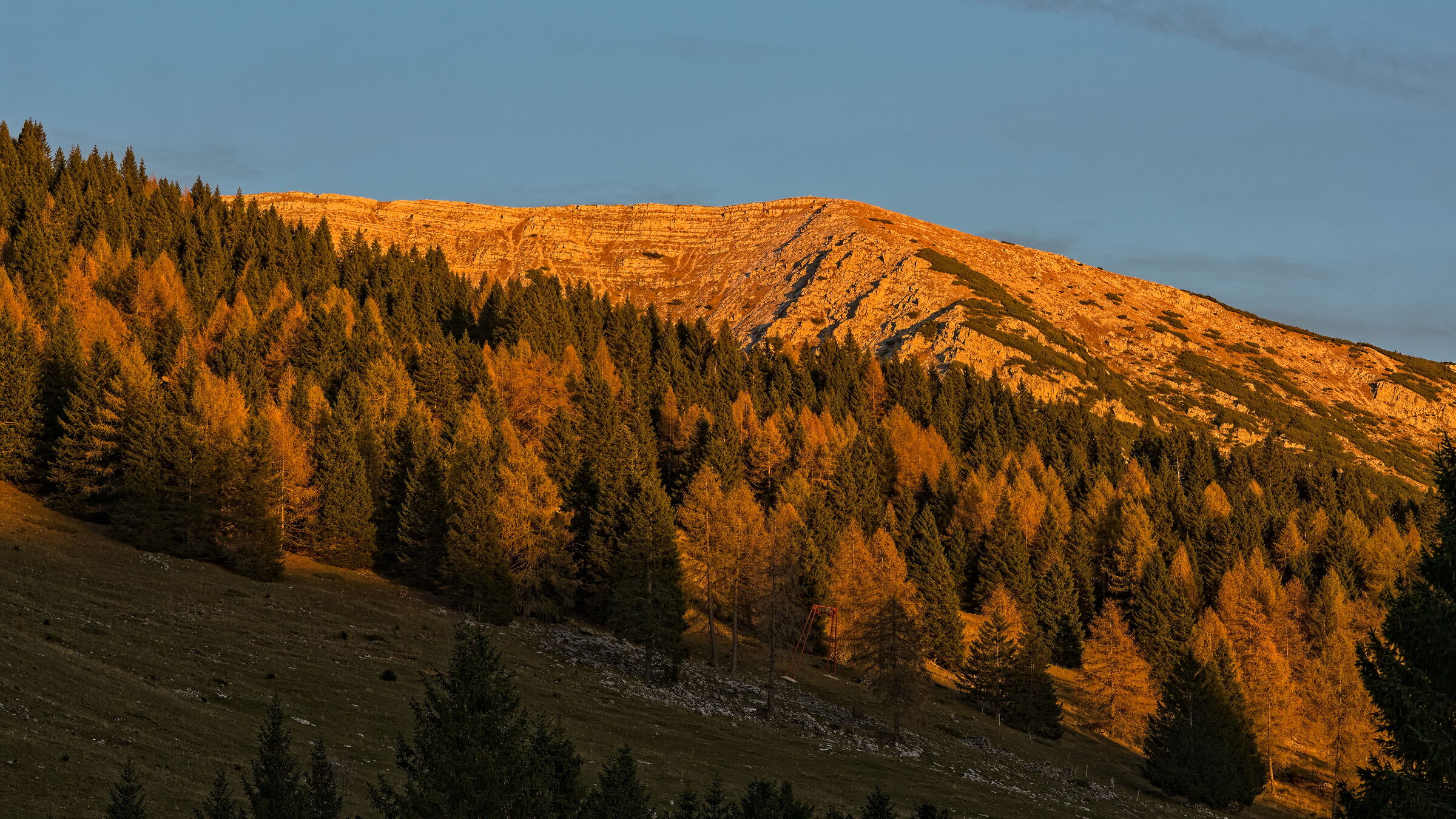 Golden Sunset