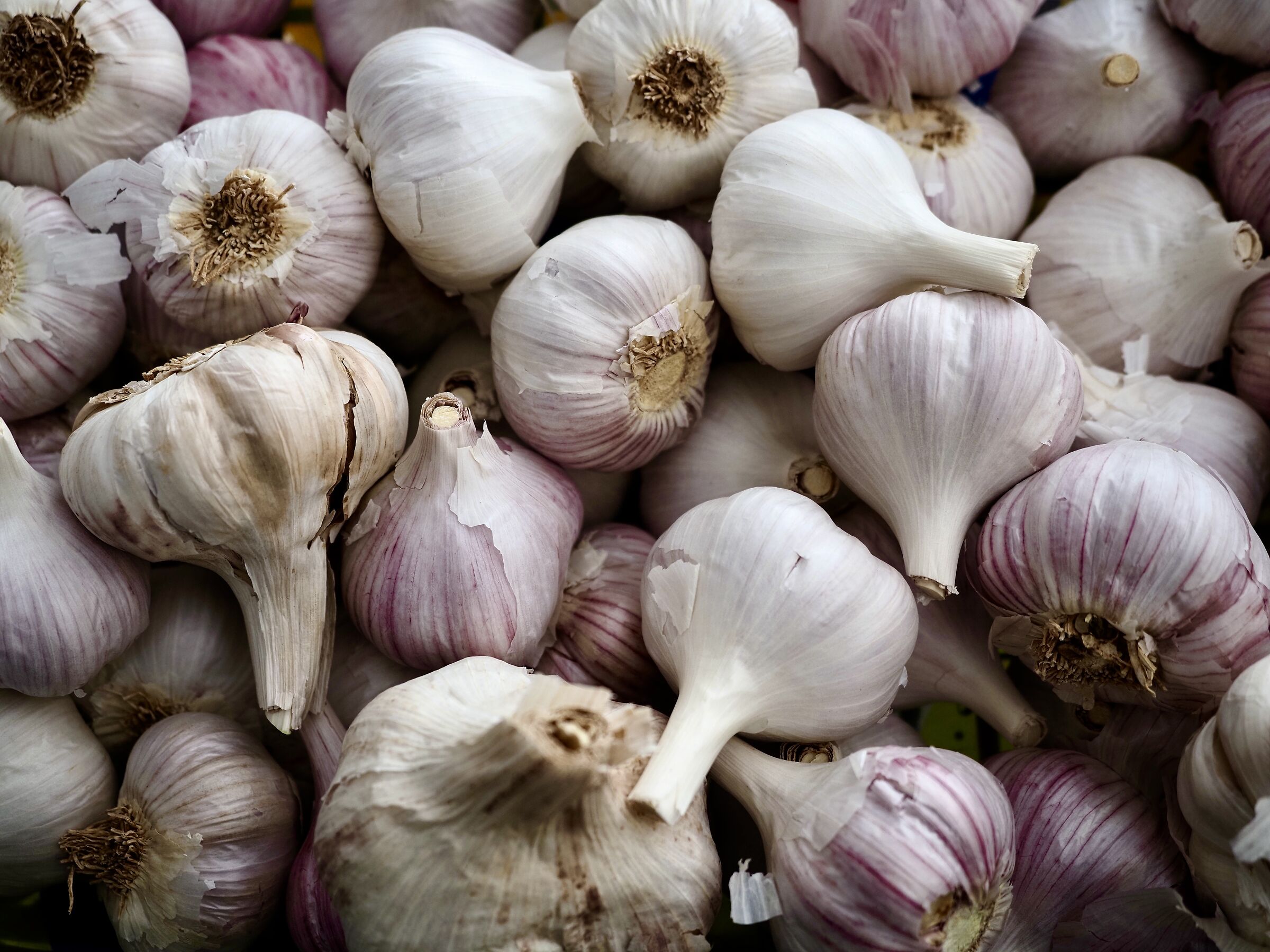 Meraviglia della natura