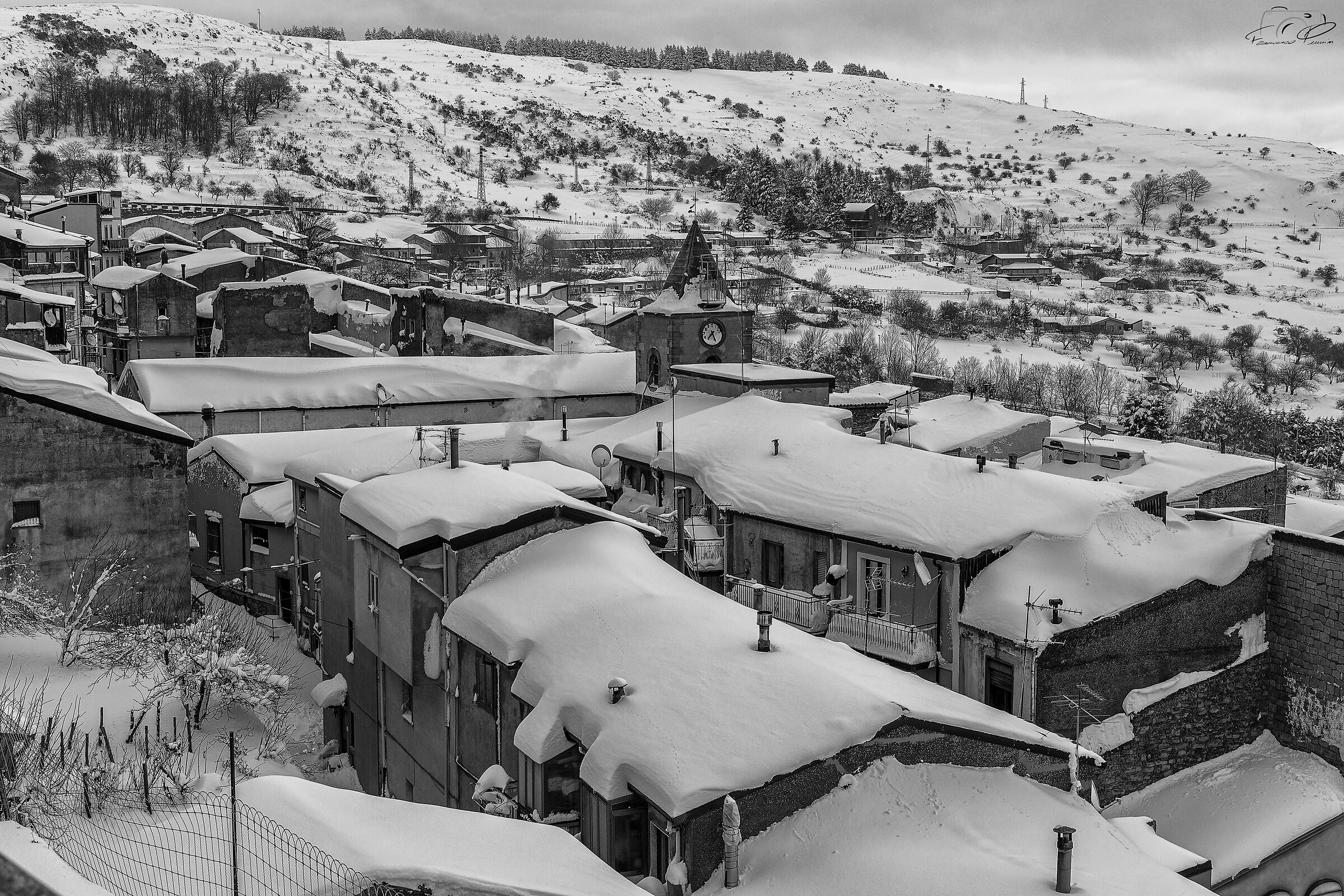 Floresta innevata 2023