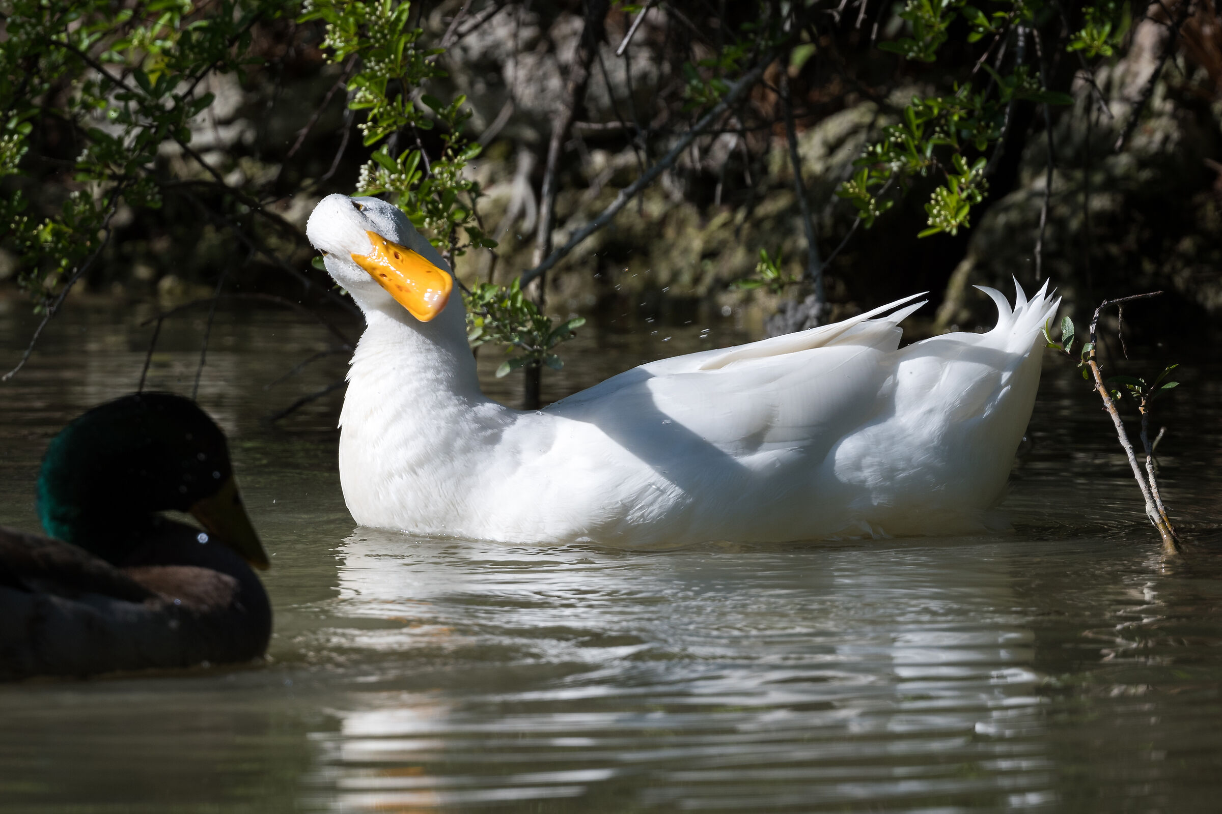 What are you looking at?