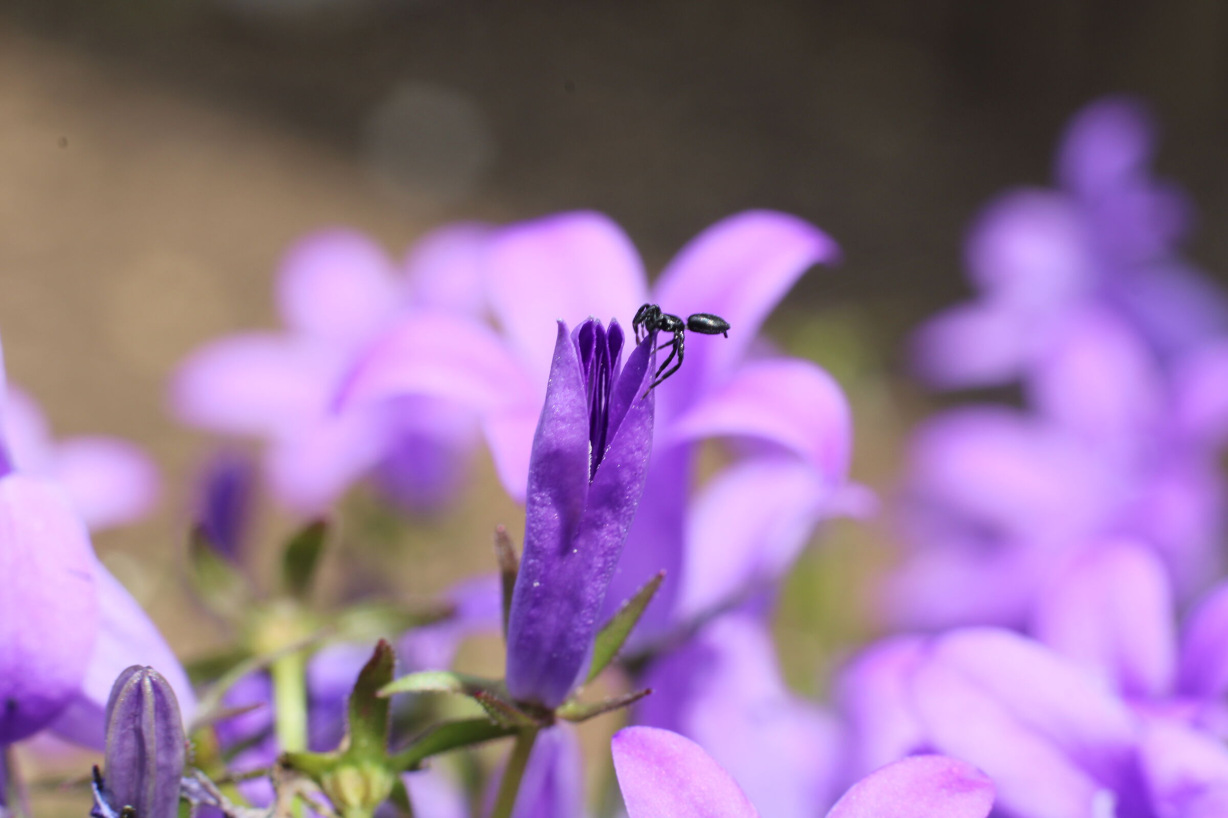 Untitled Photo