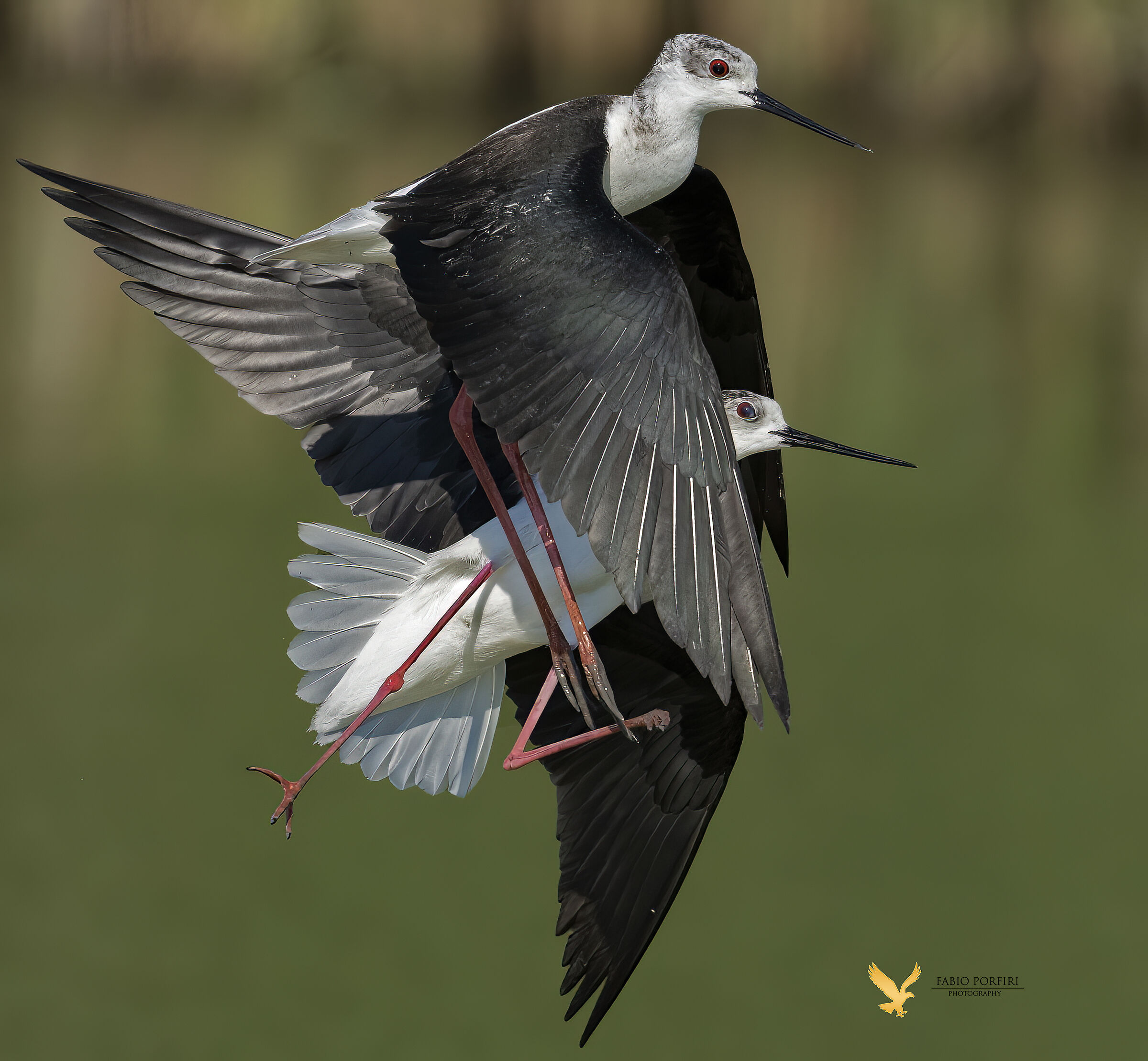 la difesa del territorio