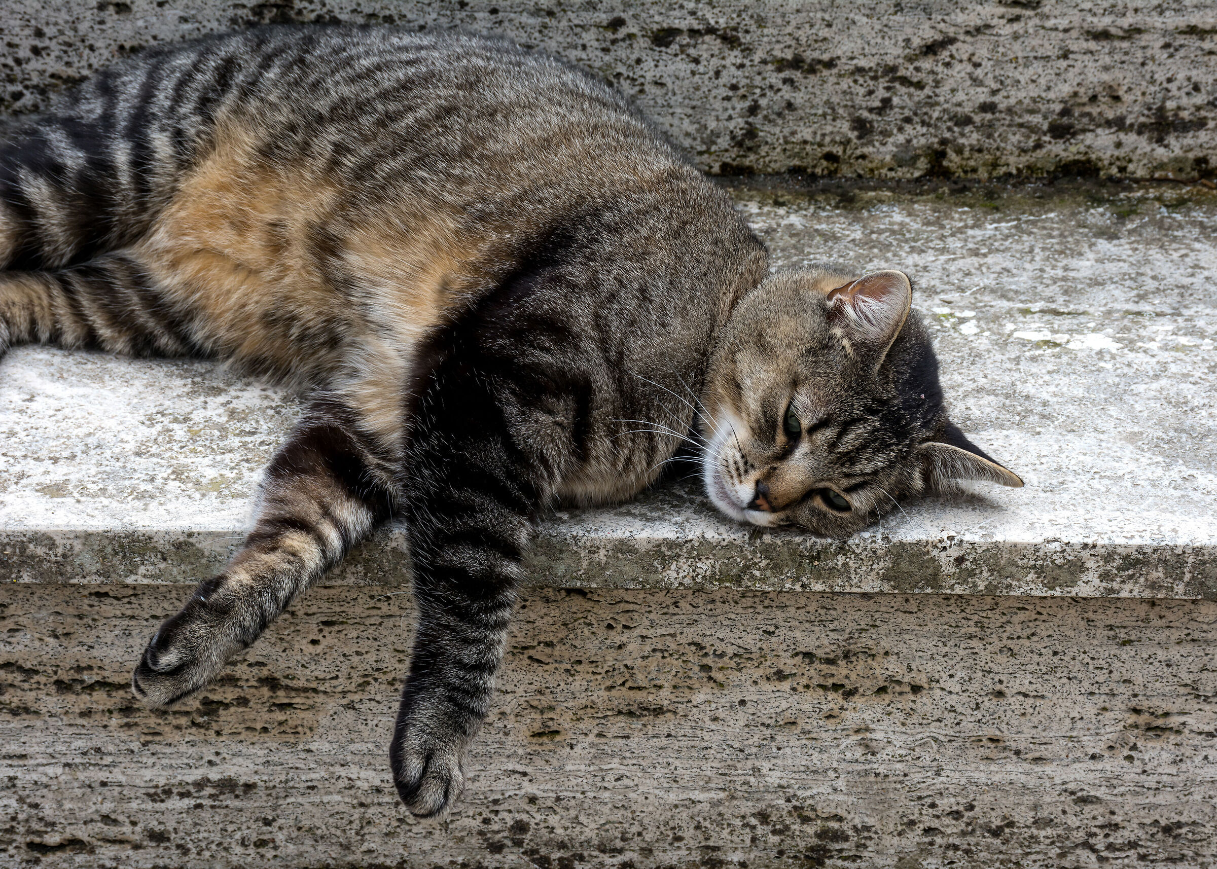 Sleep