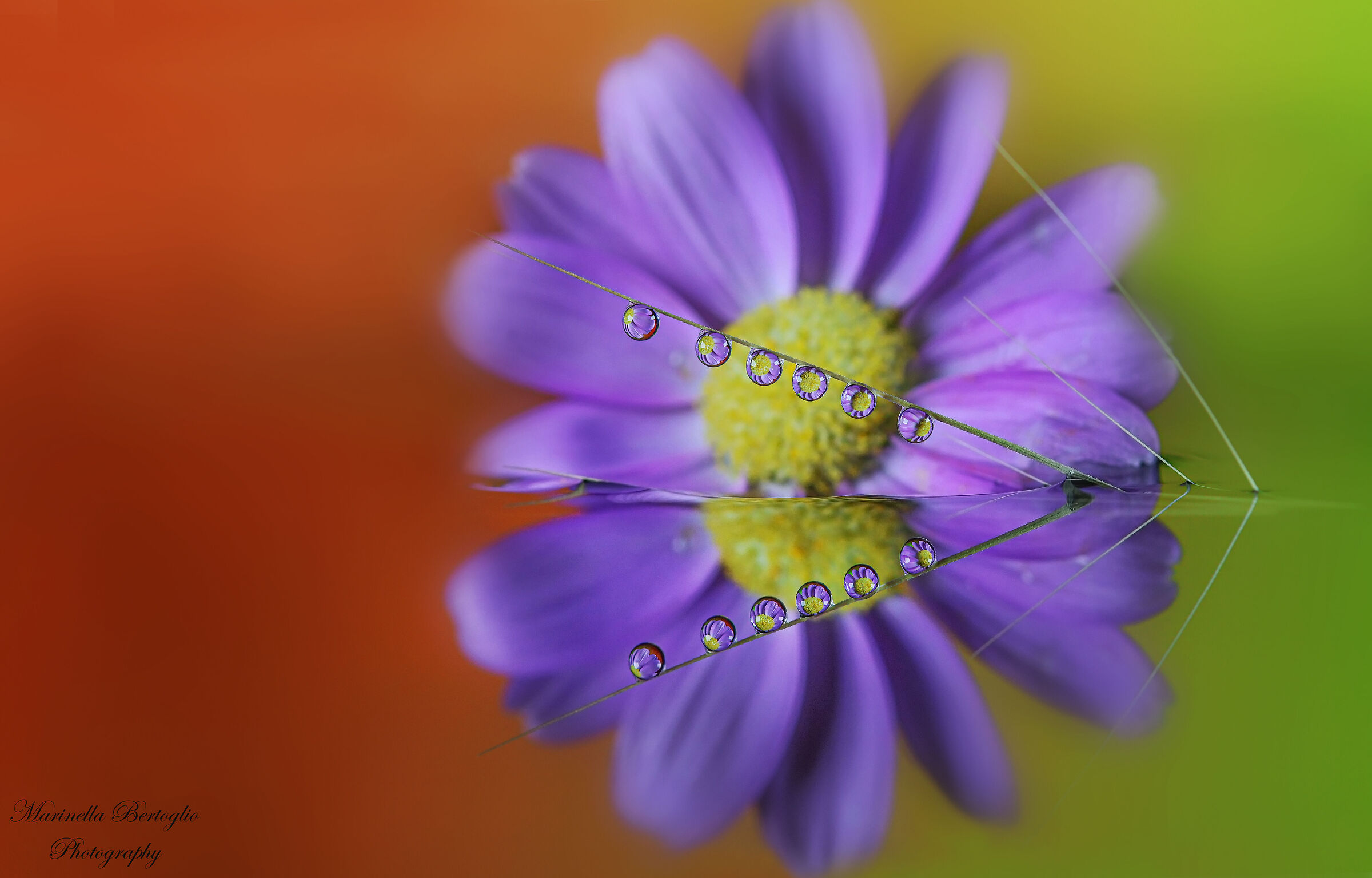 drops reflected in water