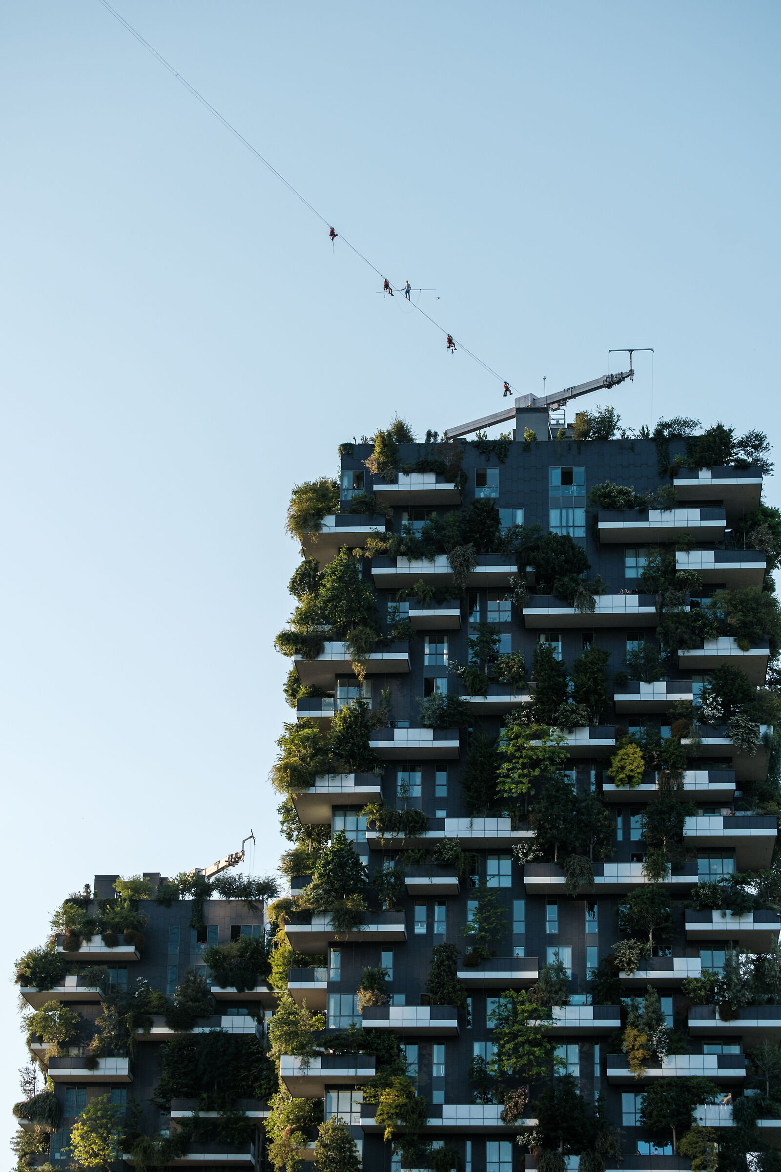 Tightrope walker - Vertical Forest