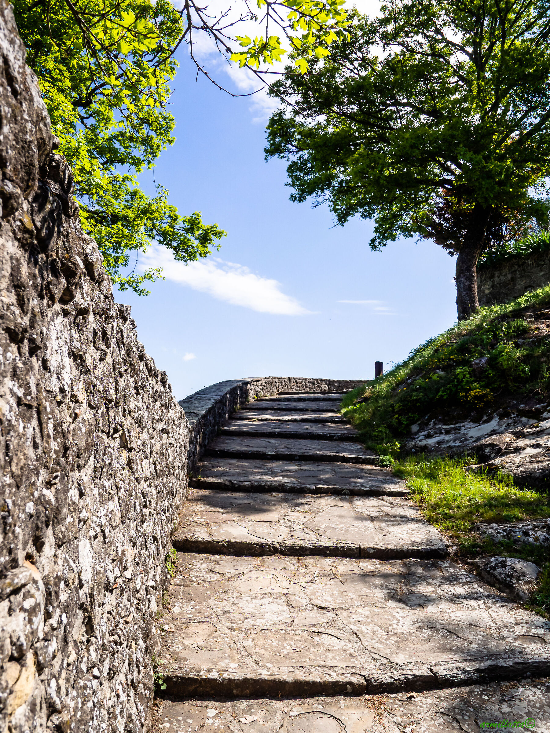 verso il cielo..castello di canossa