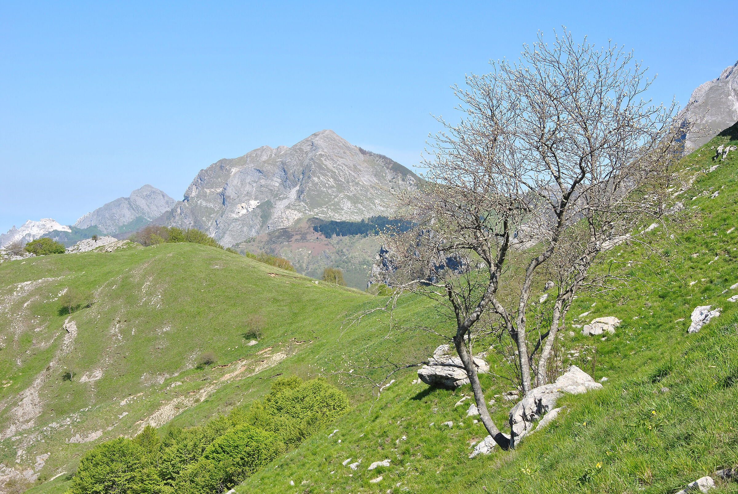 Apuan Alps: Mount Corchia from Mount Croce