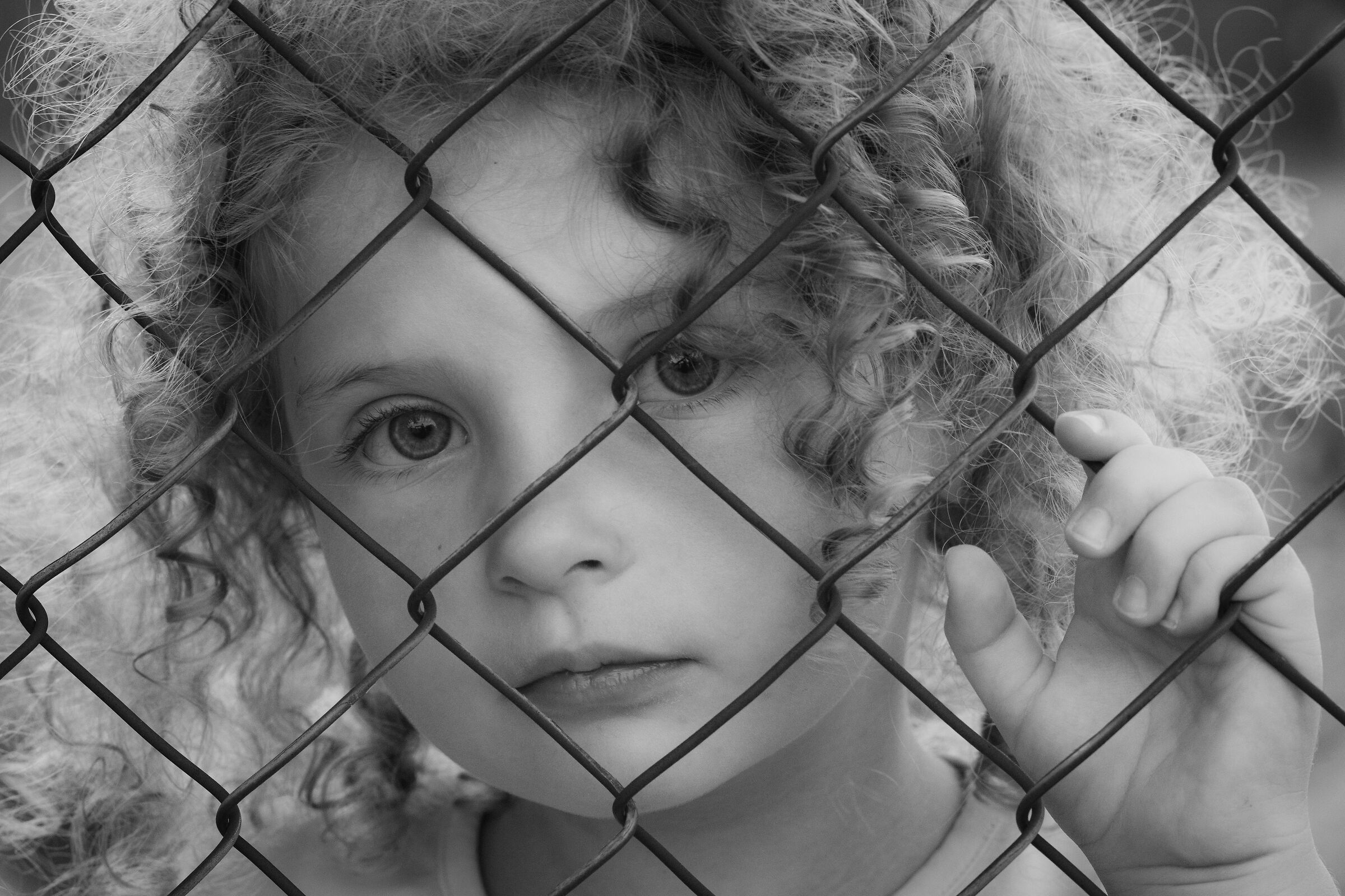 Untitled Photo
