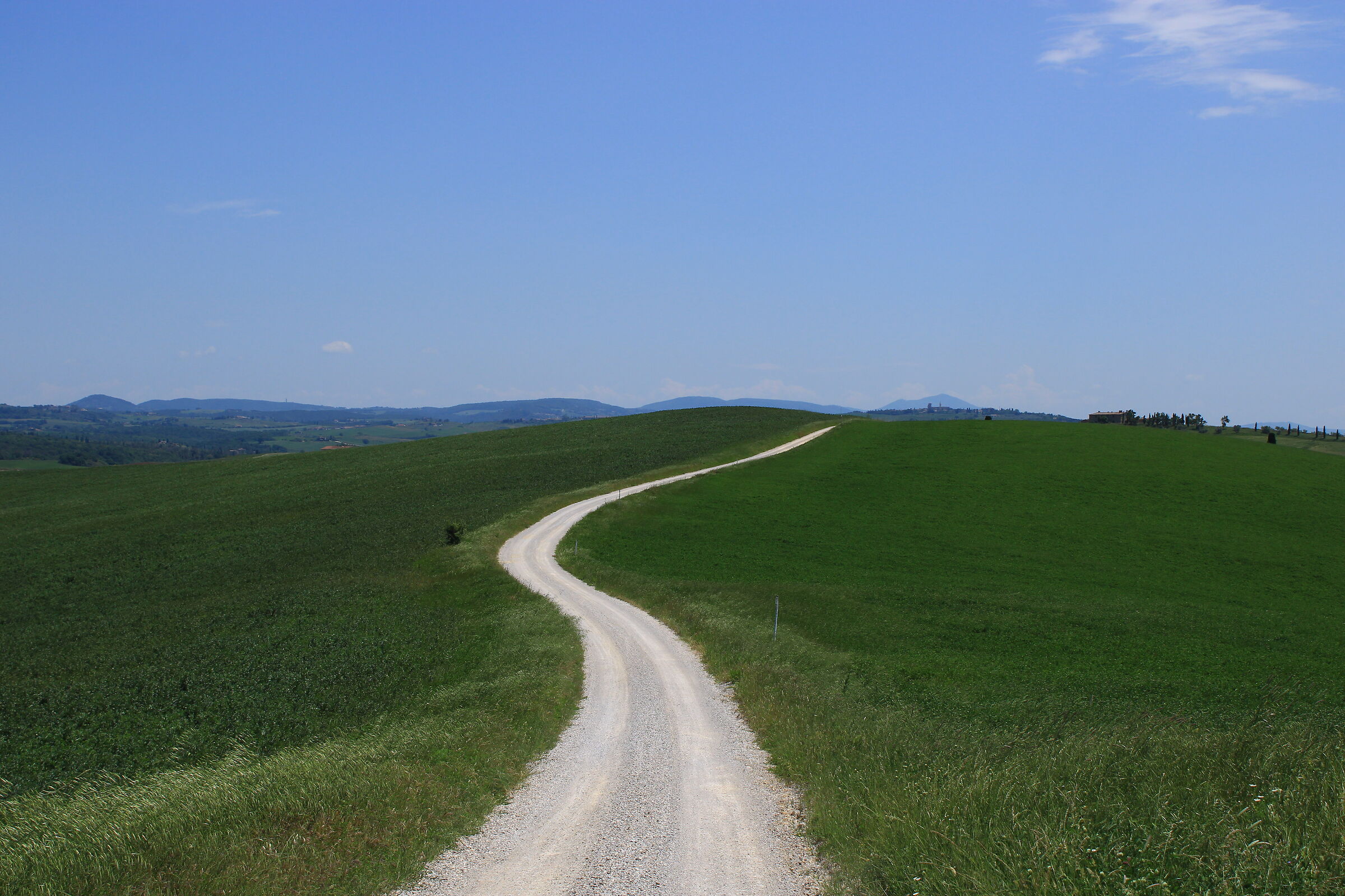 White road in the middle of a meadow in Tuscany