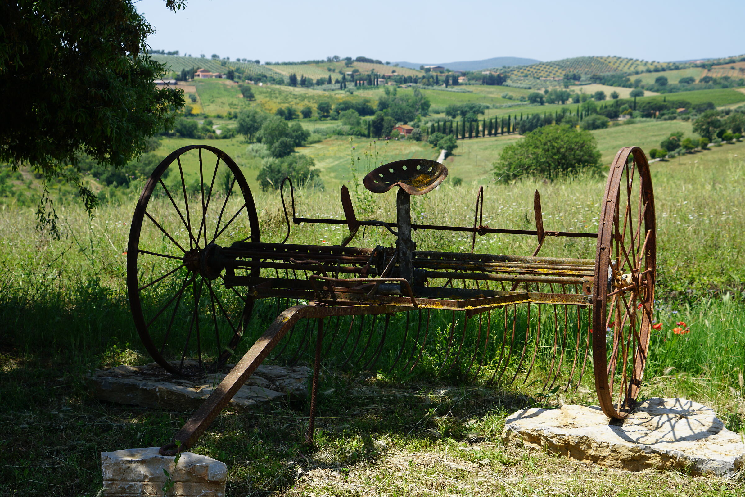 Memories of the peasant past
