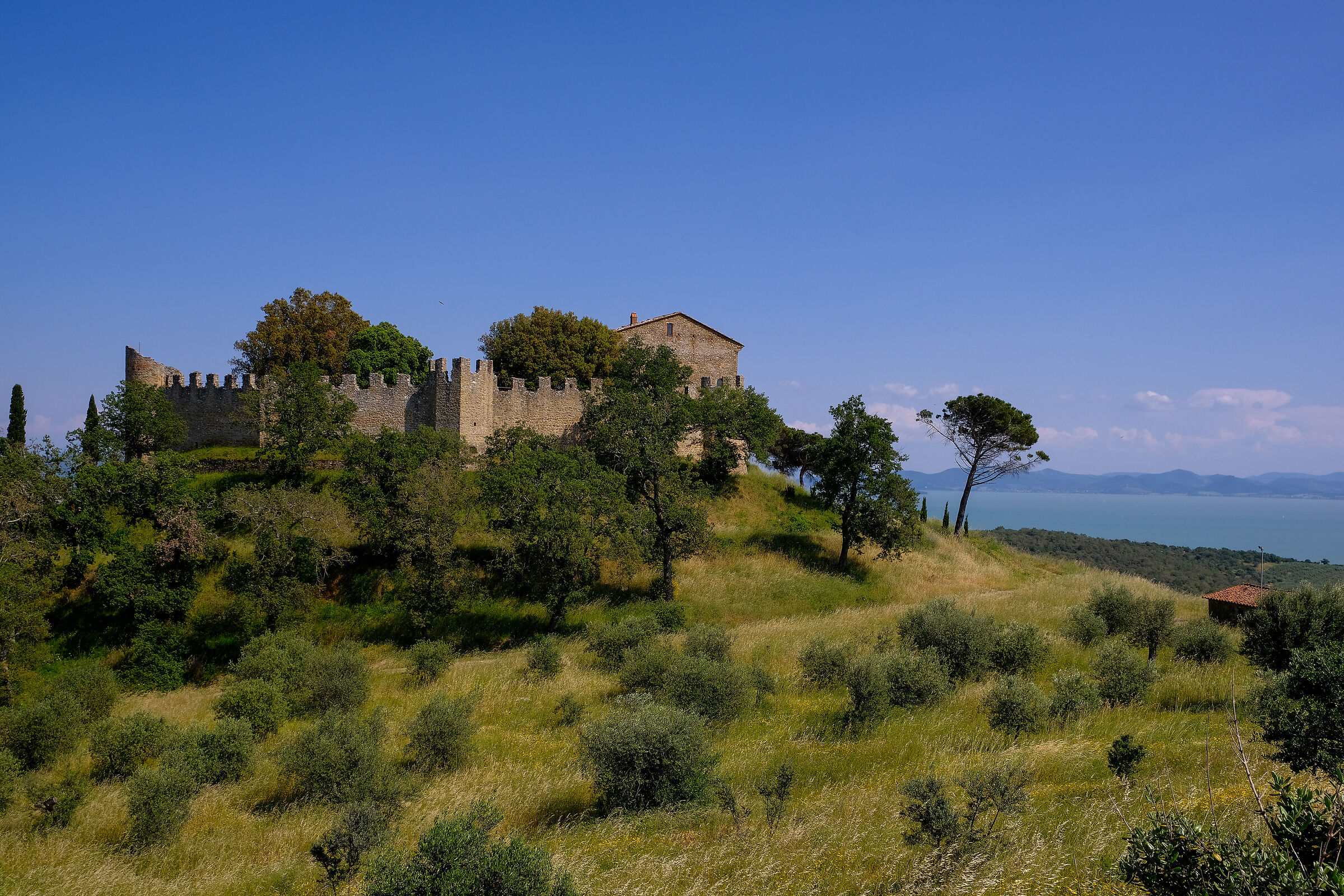 Castle of Montegualandro