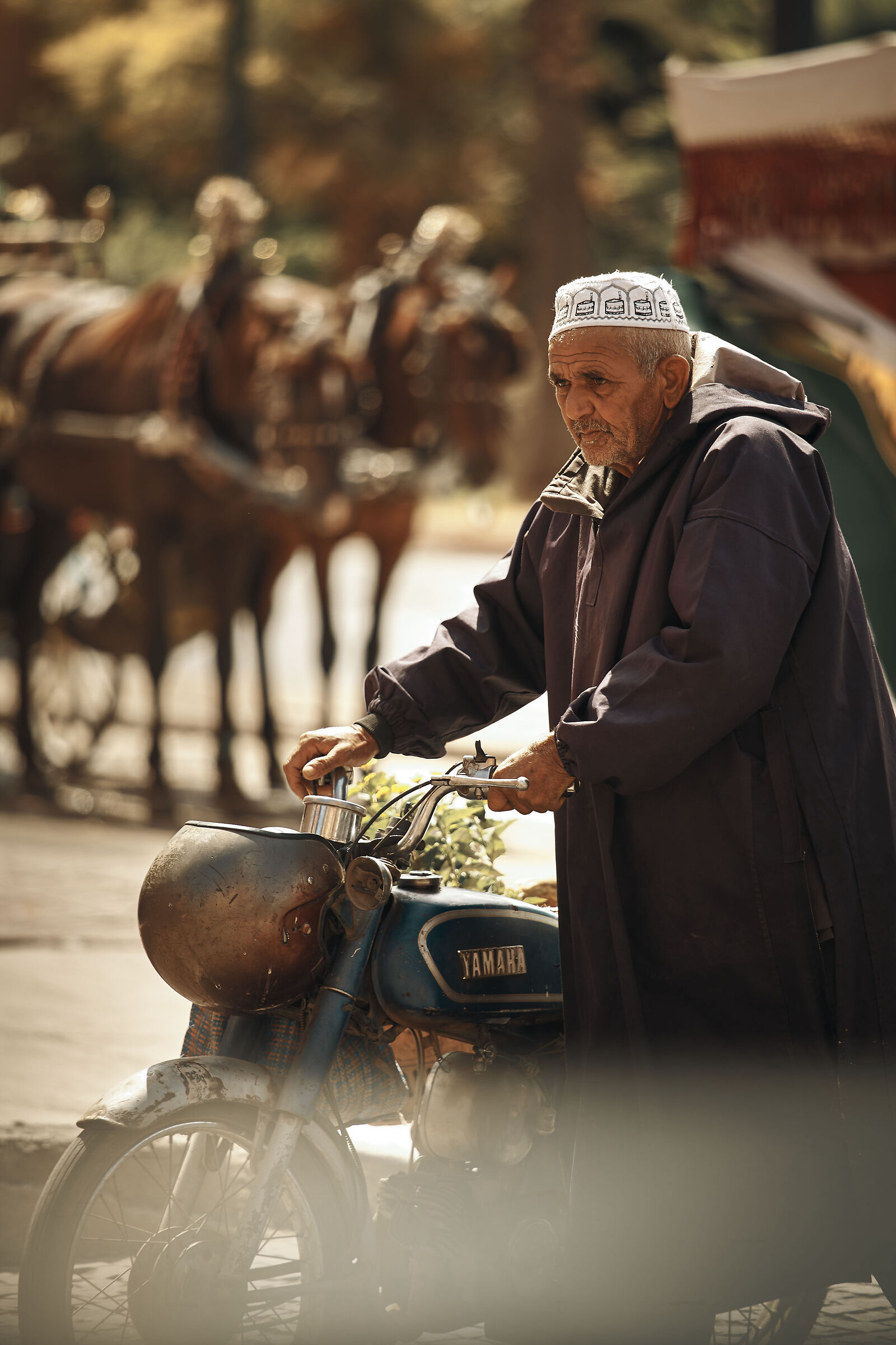 Portrait in Marrakech