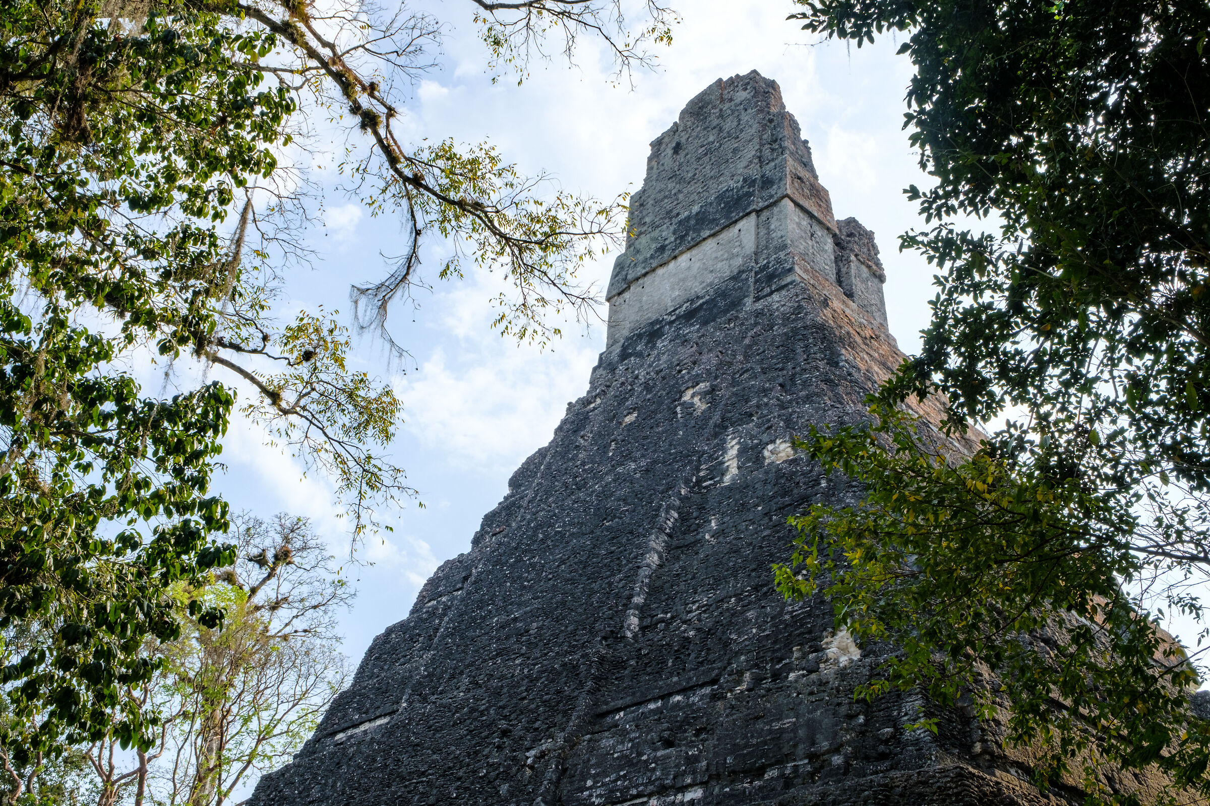 Tikal