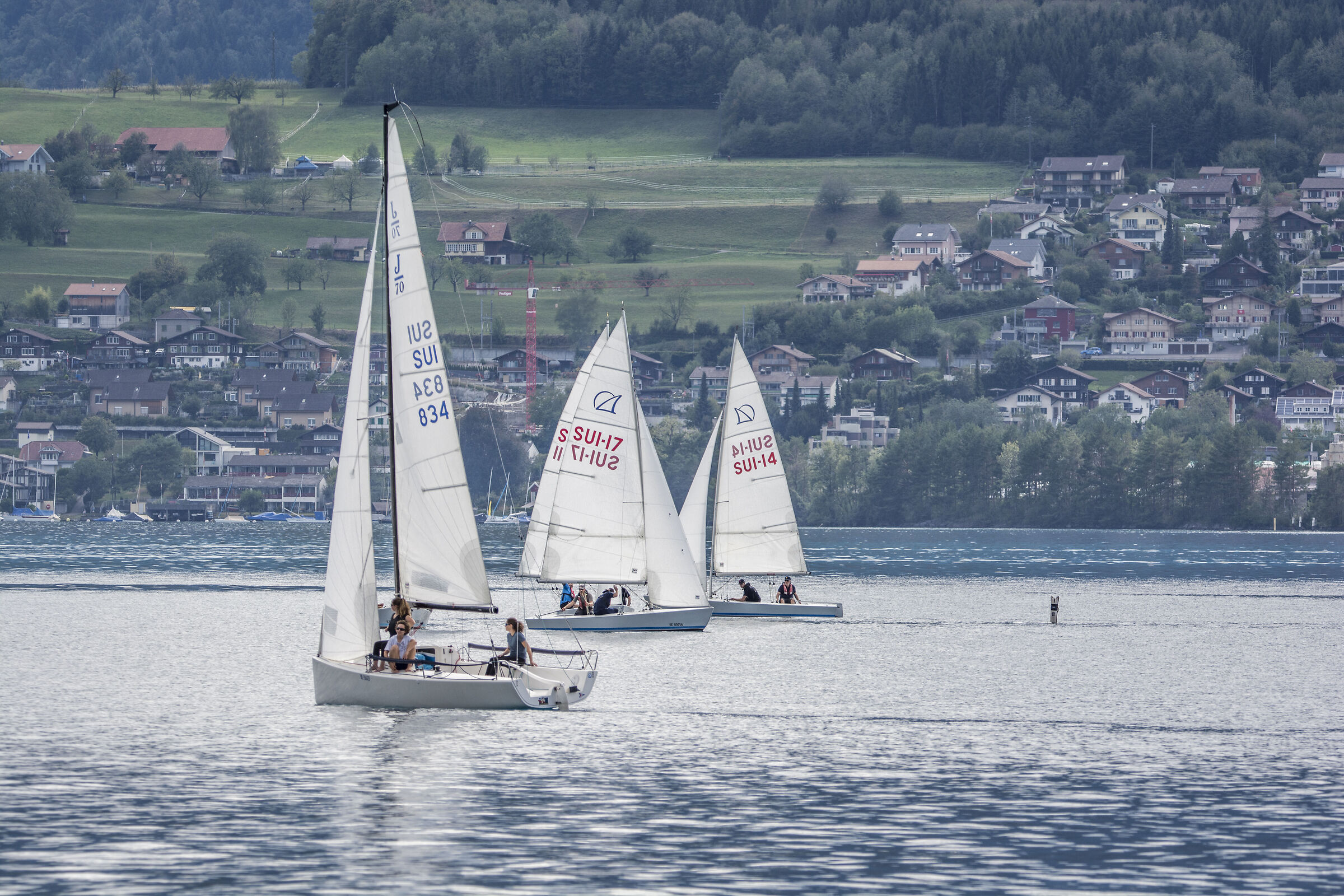 Vele @ Thunersee