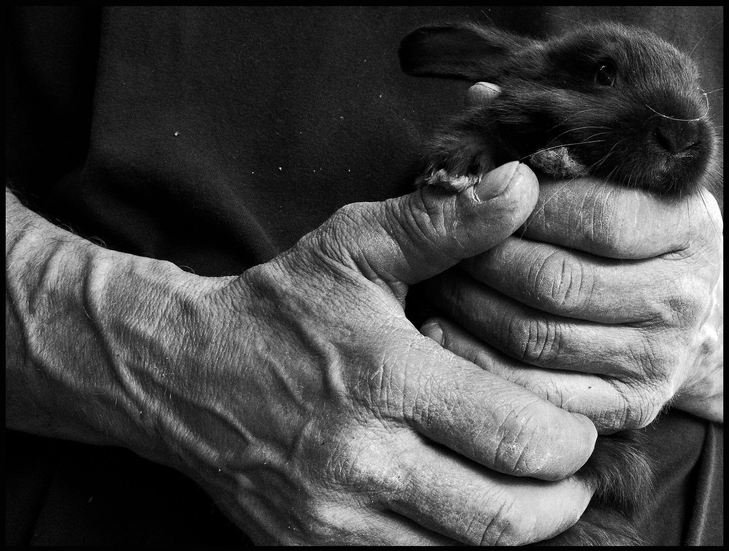 Il piccolo di famiglia