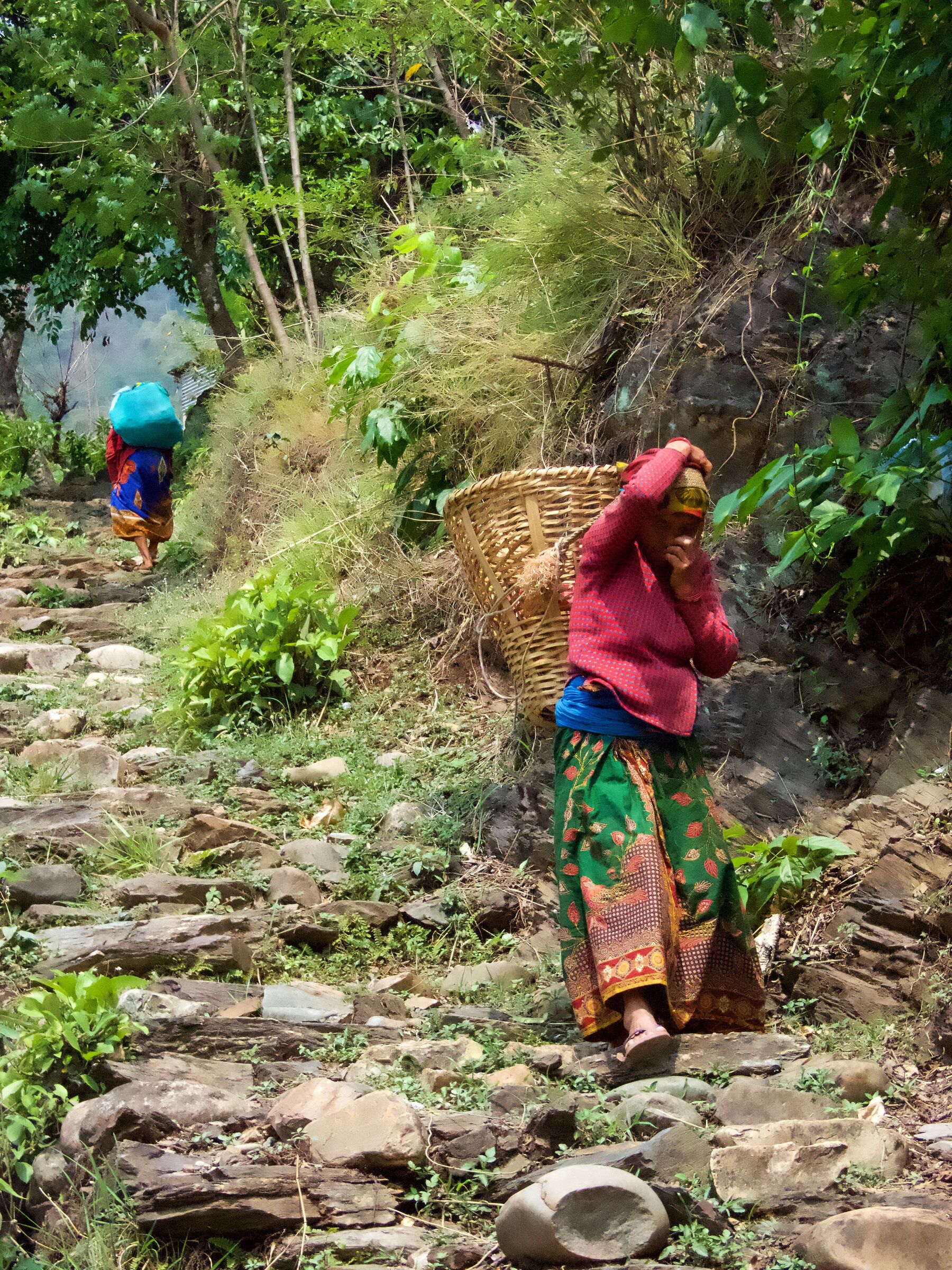Strenuous climbs and steep descents
