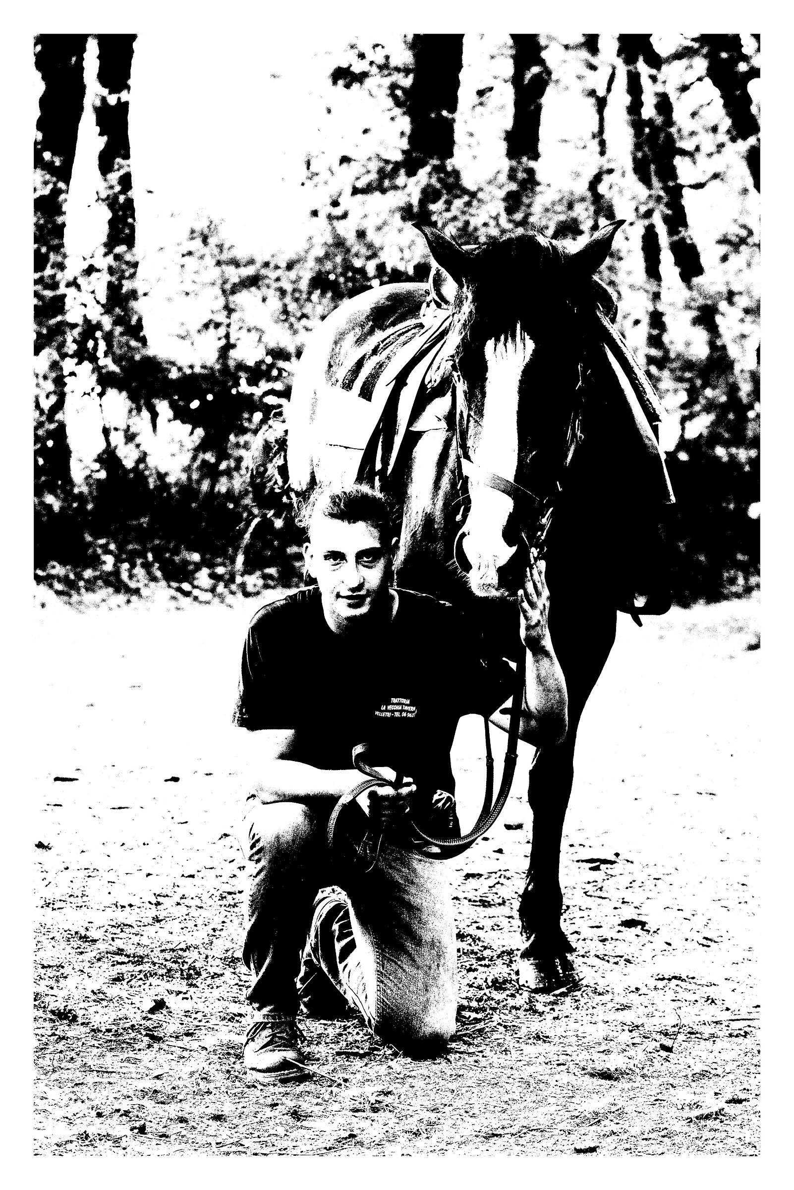 Matteo ed il suo cavallo