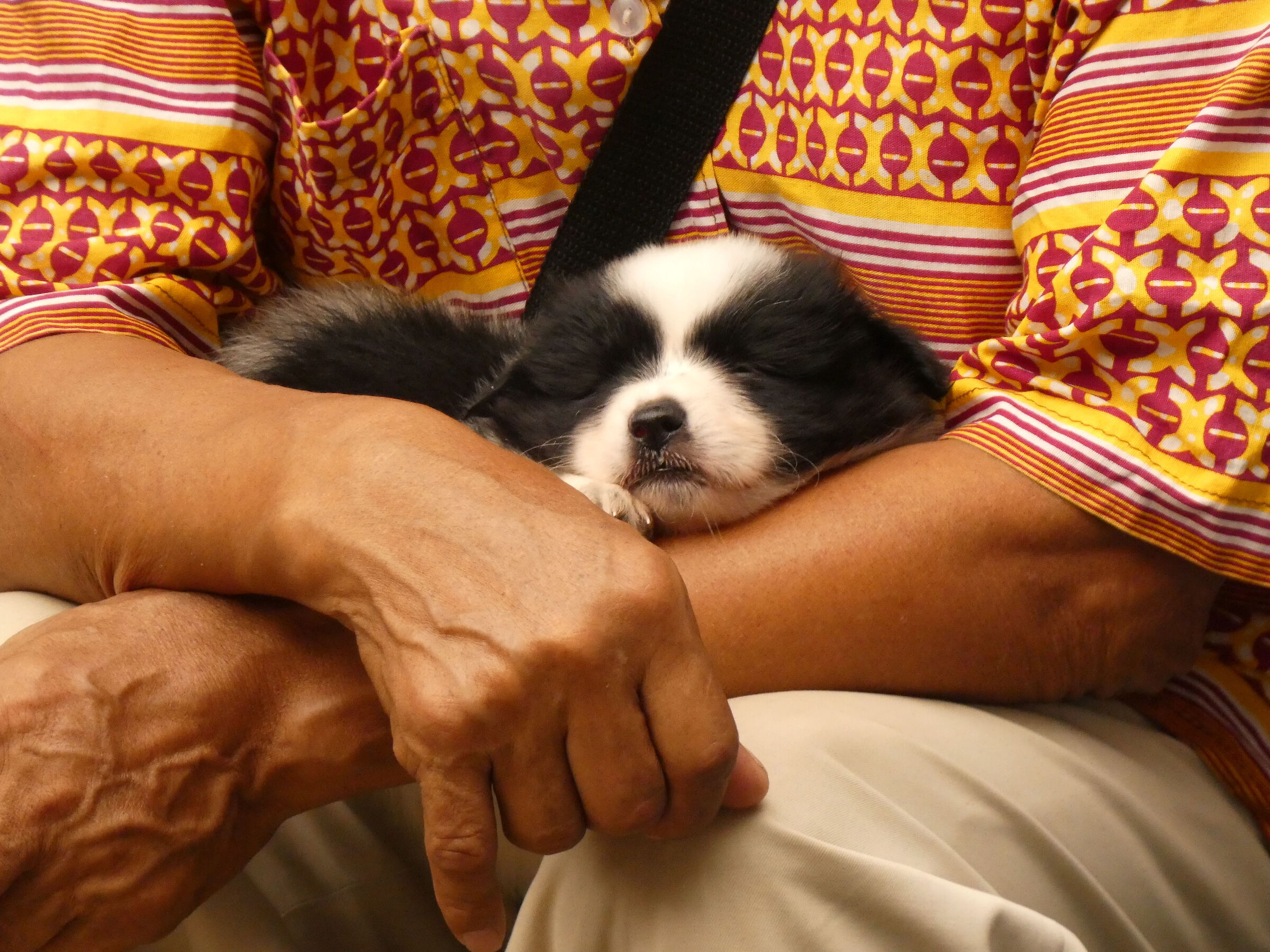 But how good it feels in my master's arms...