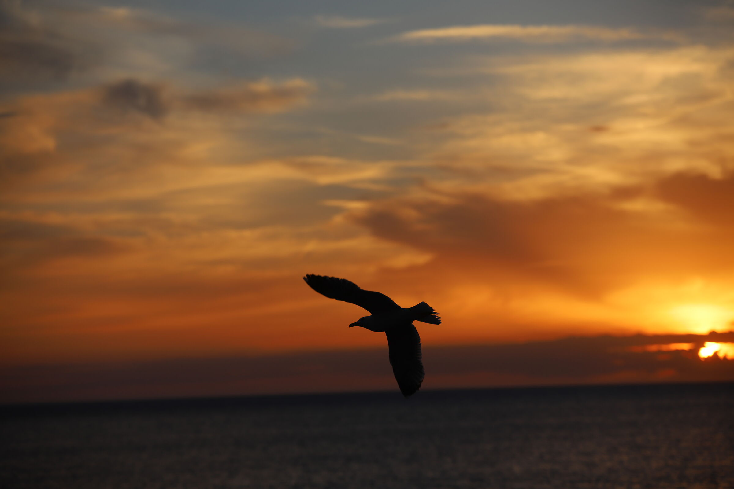 Tramonto rosso fuoco