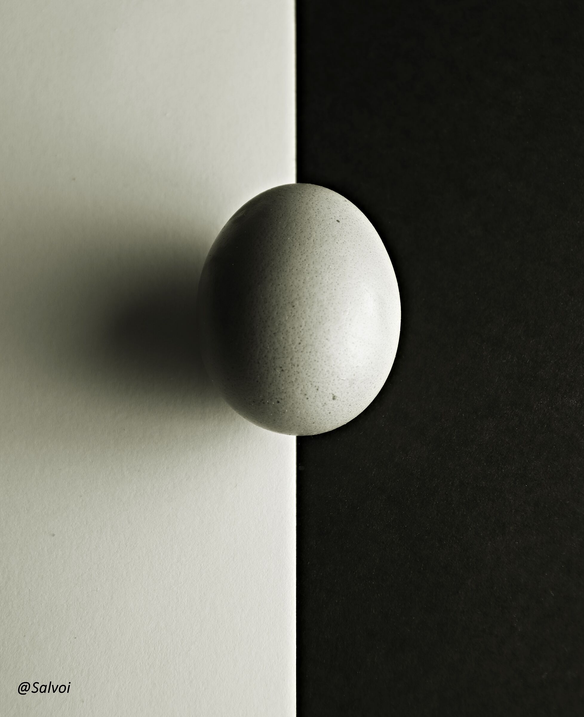 Egg
