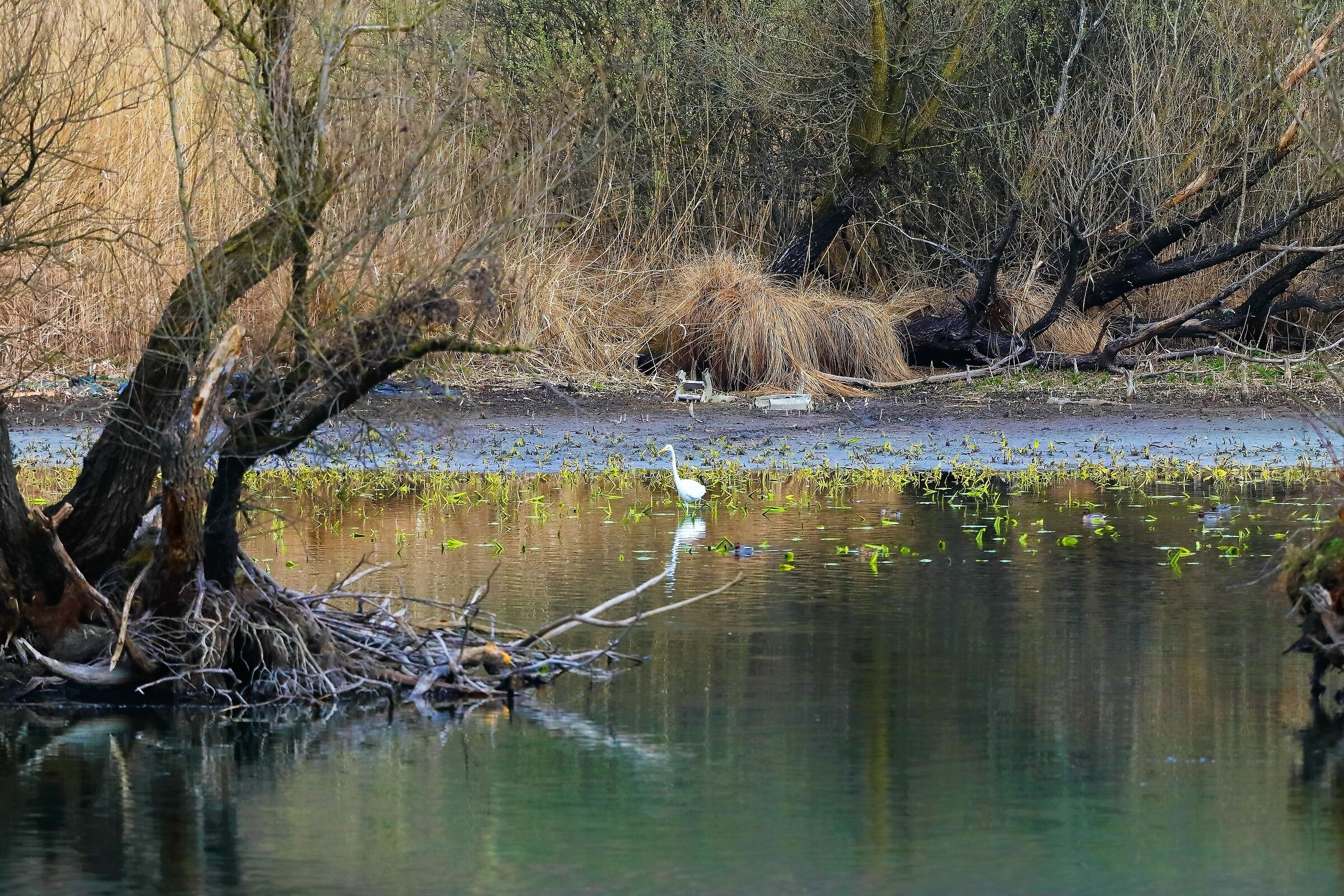 Le Stoppate 13-03-2023