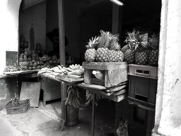 Foto