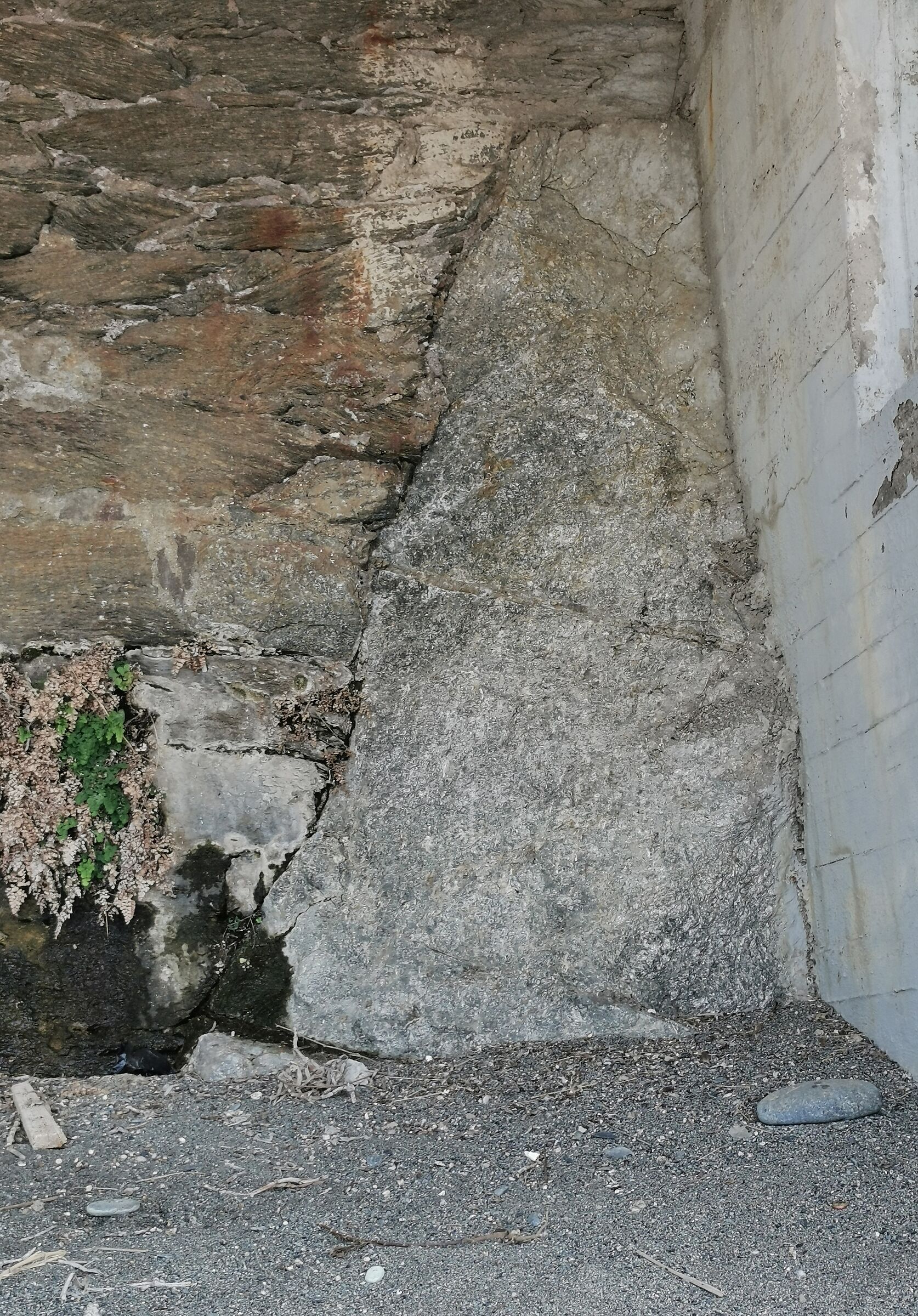 The grim look !! (looks like a painting/mural)