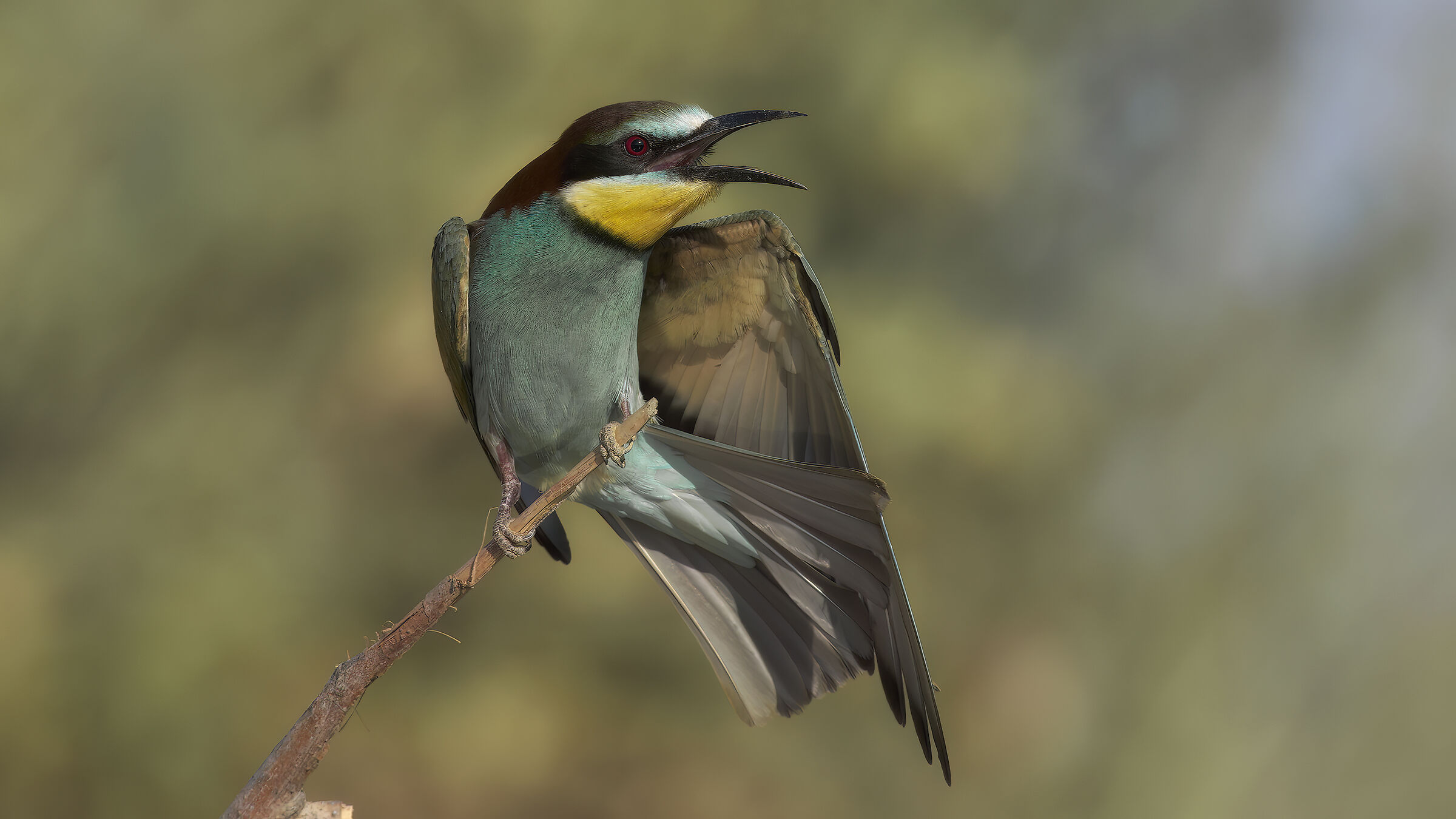 tramonto piene alla Piana